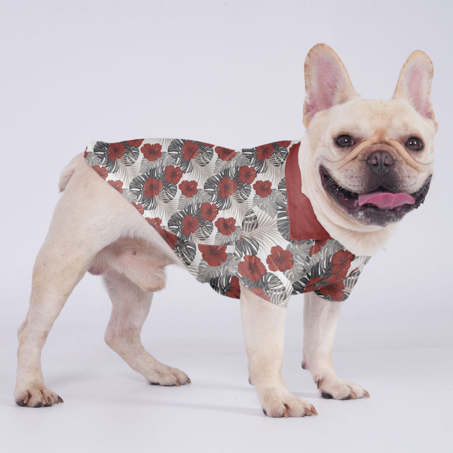 Ruby - Hawaiian Shirt for Short-Nosed Dogs for French Bulldogs-fadou