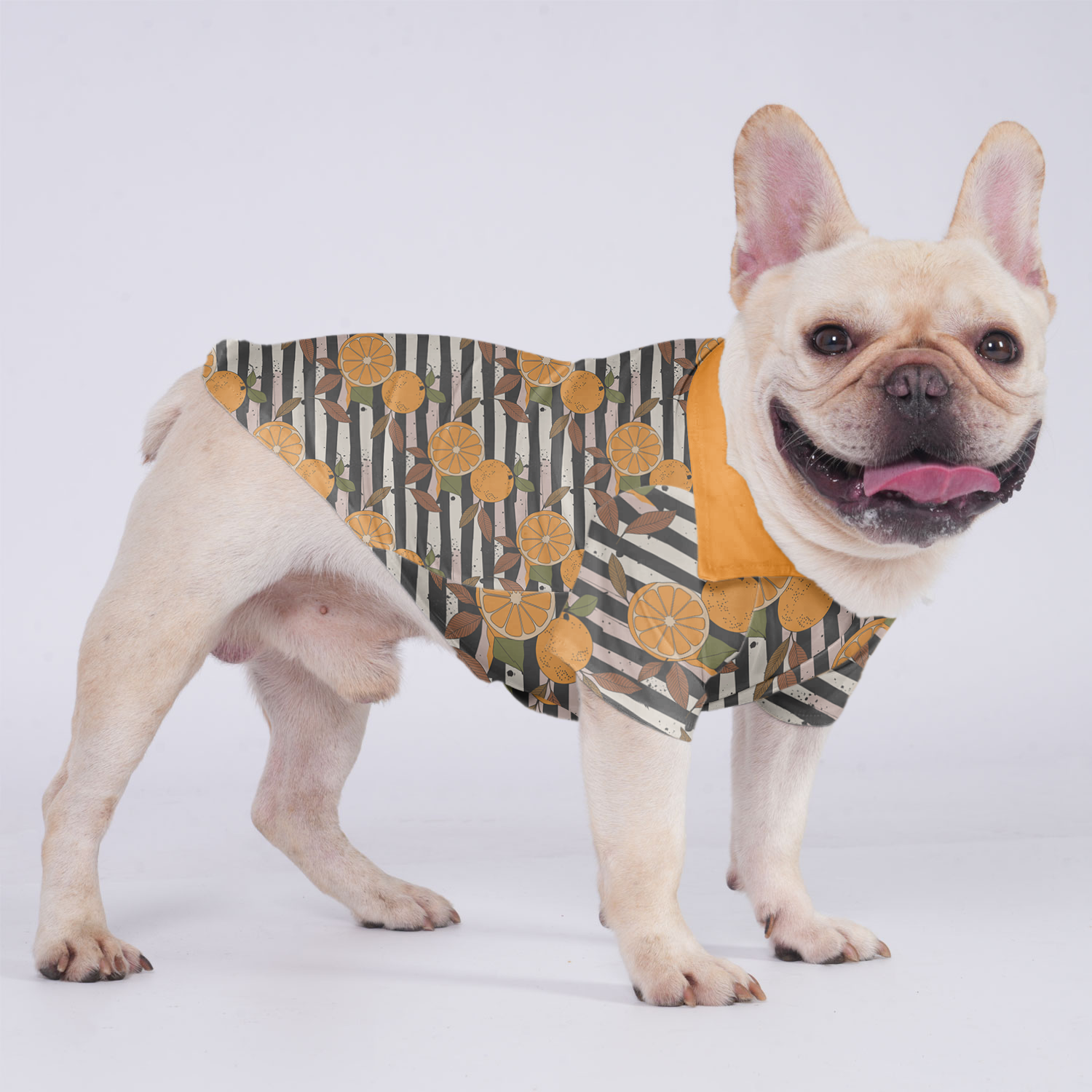 Bruno - Hawaiian Shirt for Outdoor Adventures for French Bulldogs-fadou