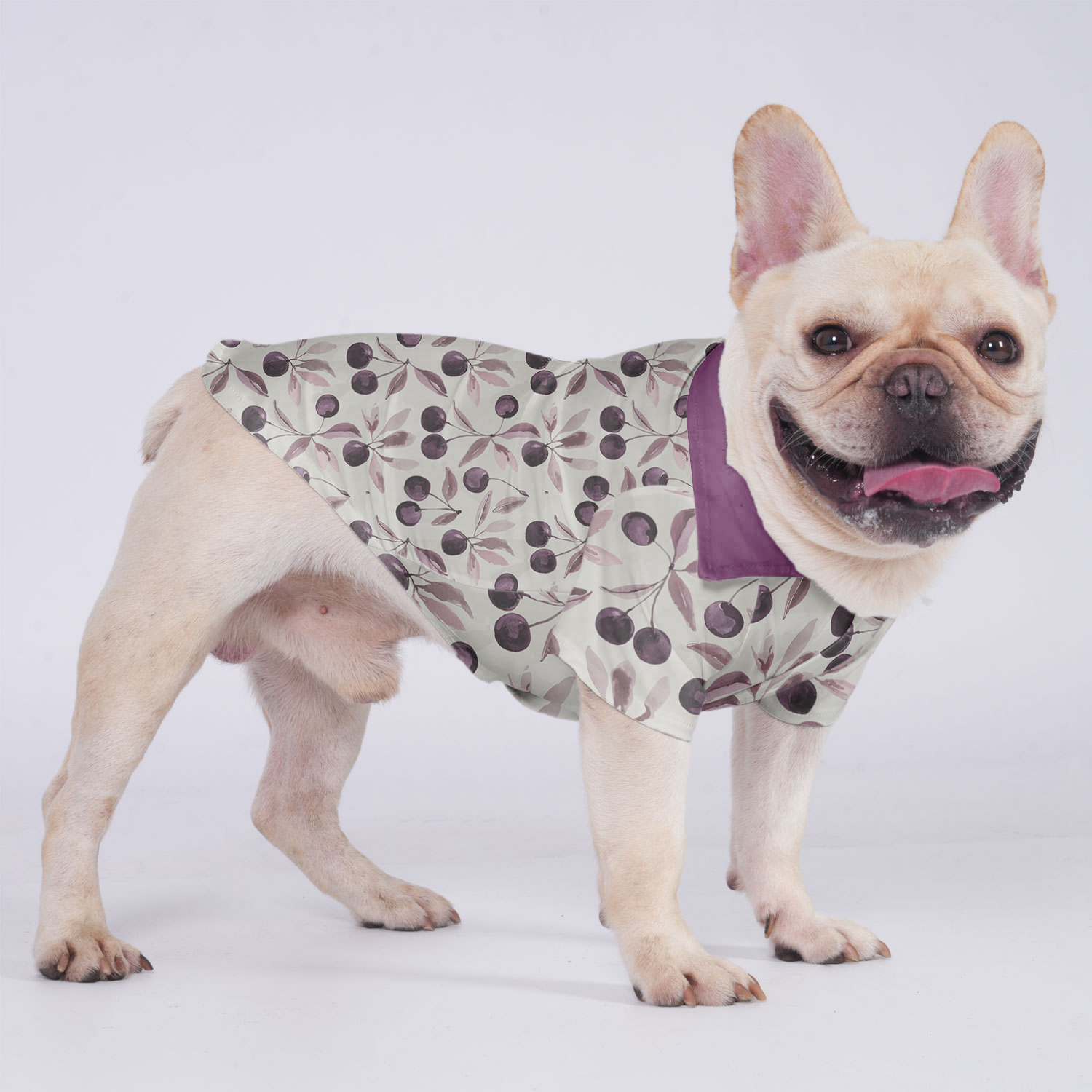 Louie - Hawaiian Shirt for Travel Comfort for French Bulldogs-fadou