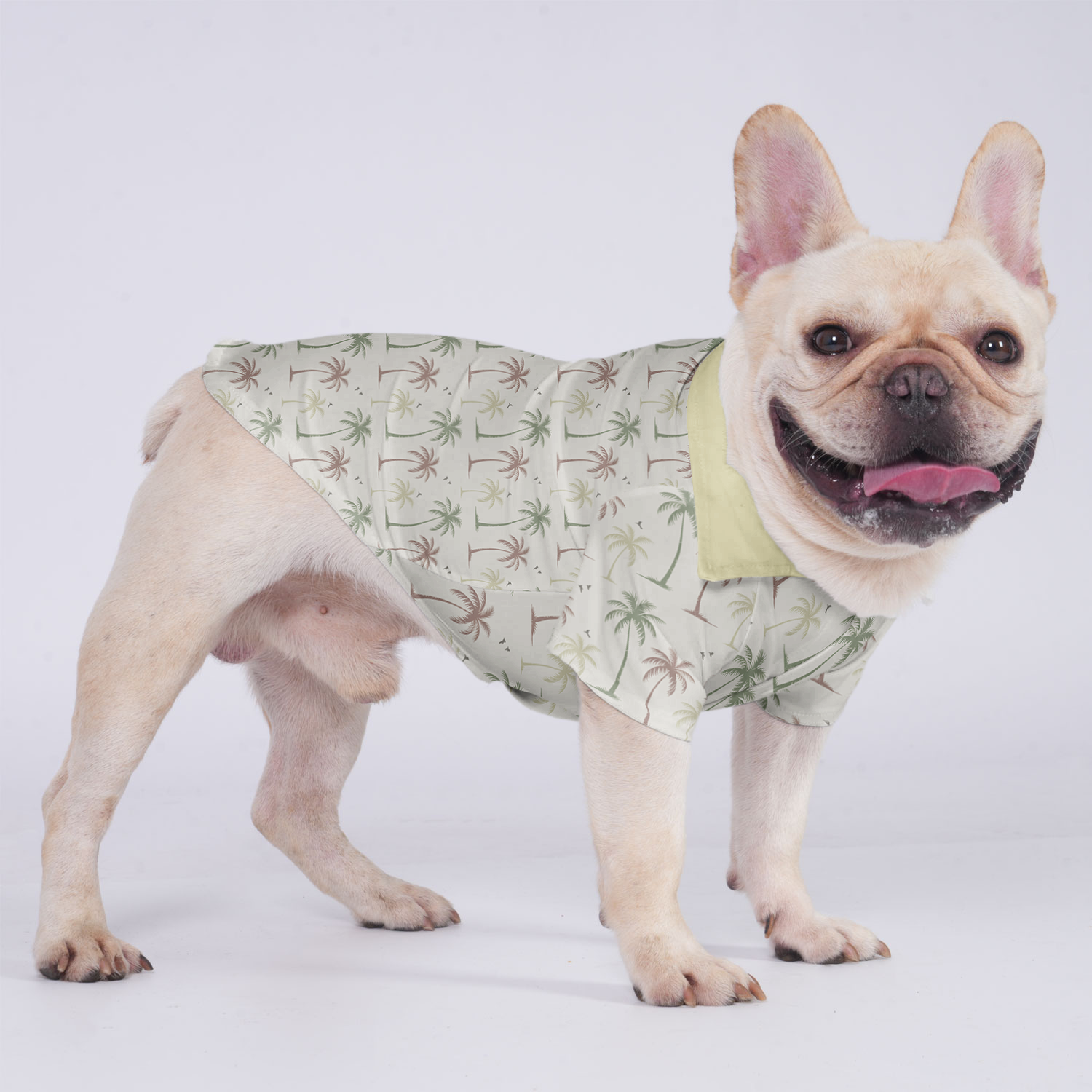 Ginger - Hawaiian Shirt for Short-Nosed Dogs for French Bulldogs-fadou