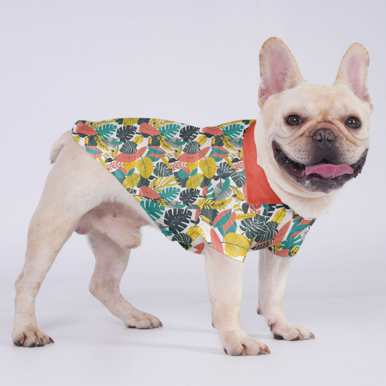 Koda - Hawaiian Shirt for Flat-Face Breeds for French Bulldogs-fadou