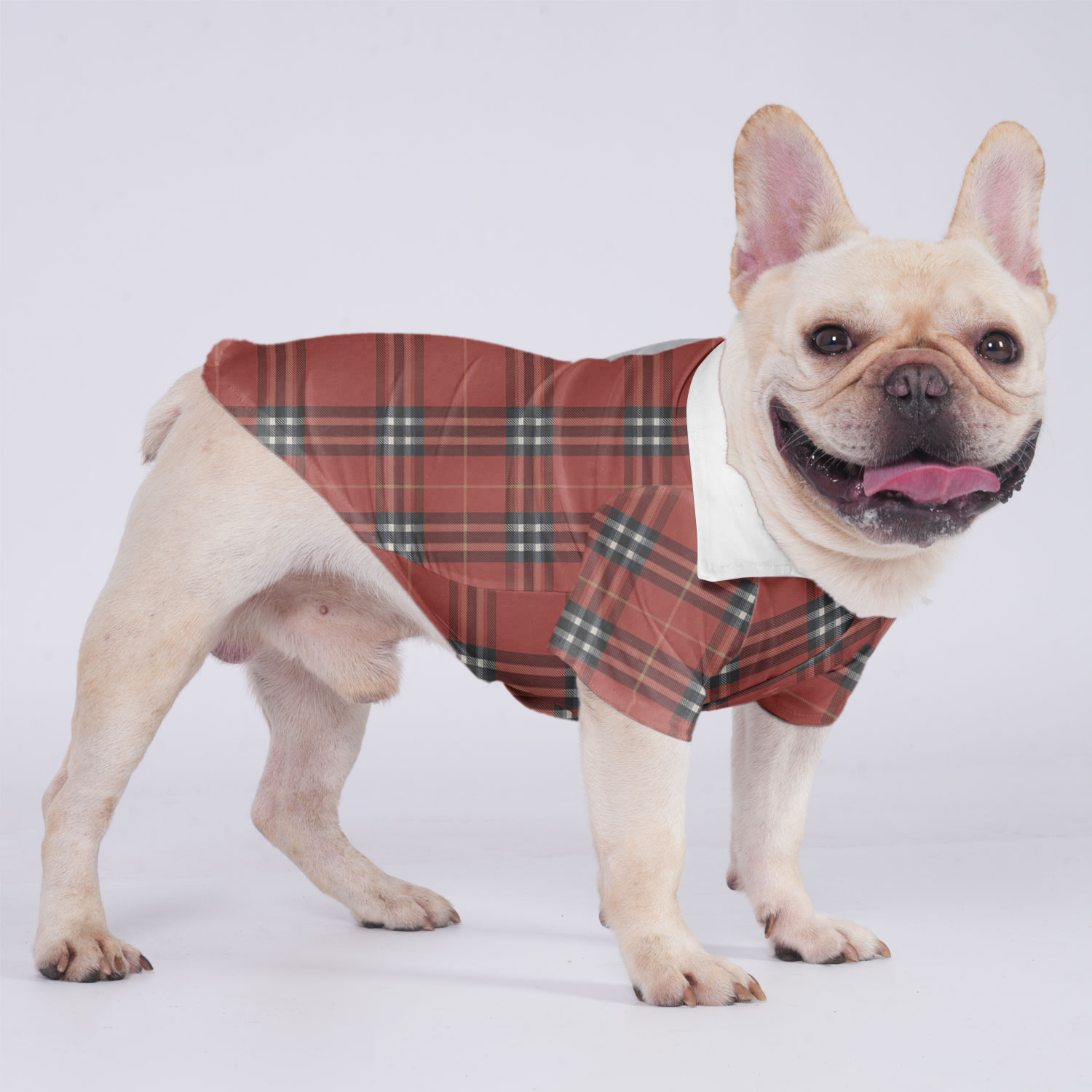 Bella - Hawaiian Shirt for French Bulldog Owners for Frenchies-fadou