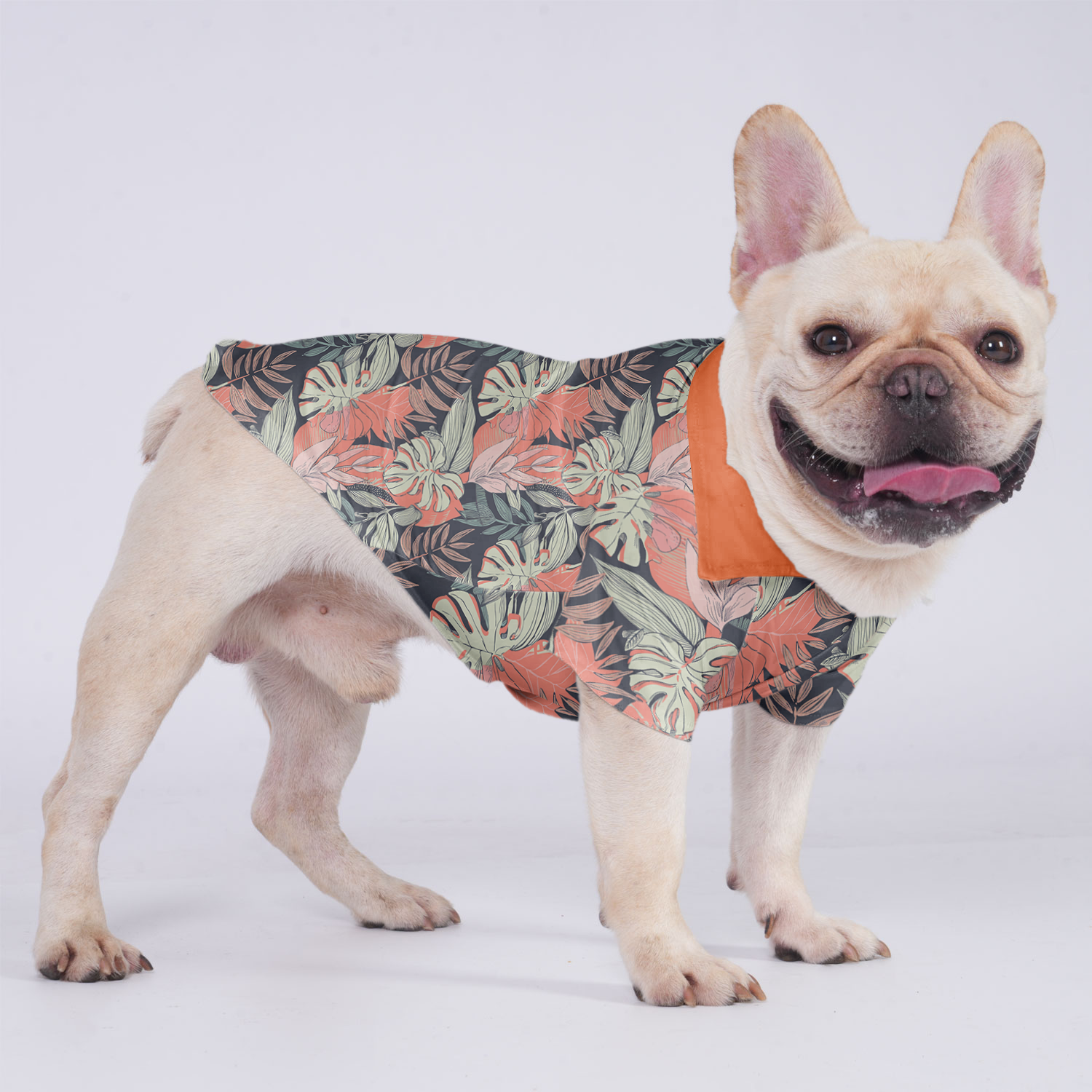 Apollo French Bulldog Dog Outfit for Brachycephalic Dogs-fadou