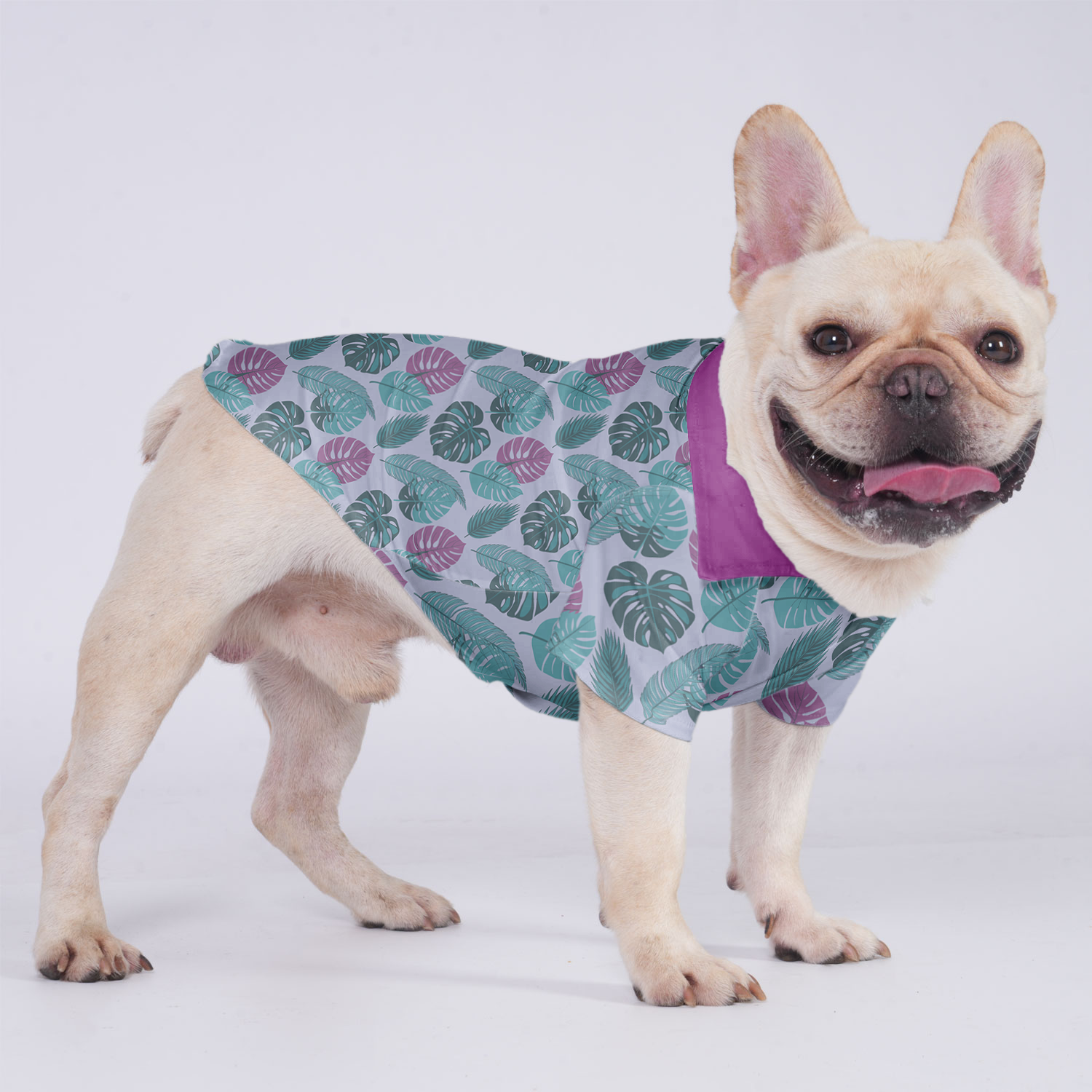 Beau - Hawaiian Shirt for Brachycephalic Dogs for French Bulldogs-fadou