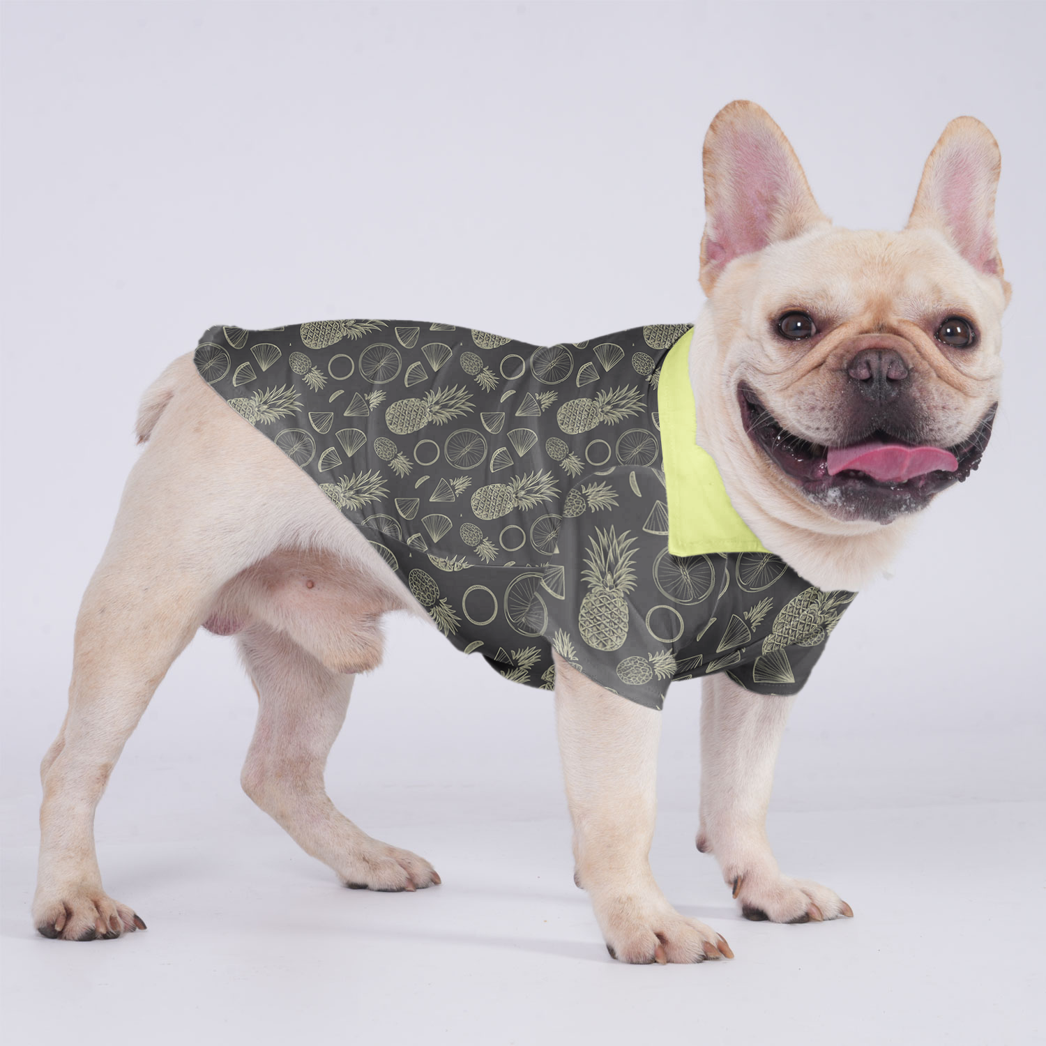 Moose French Bulldog Cotton Tee for Brachycephalic Dogs-fadou