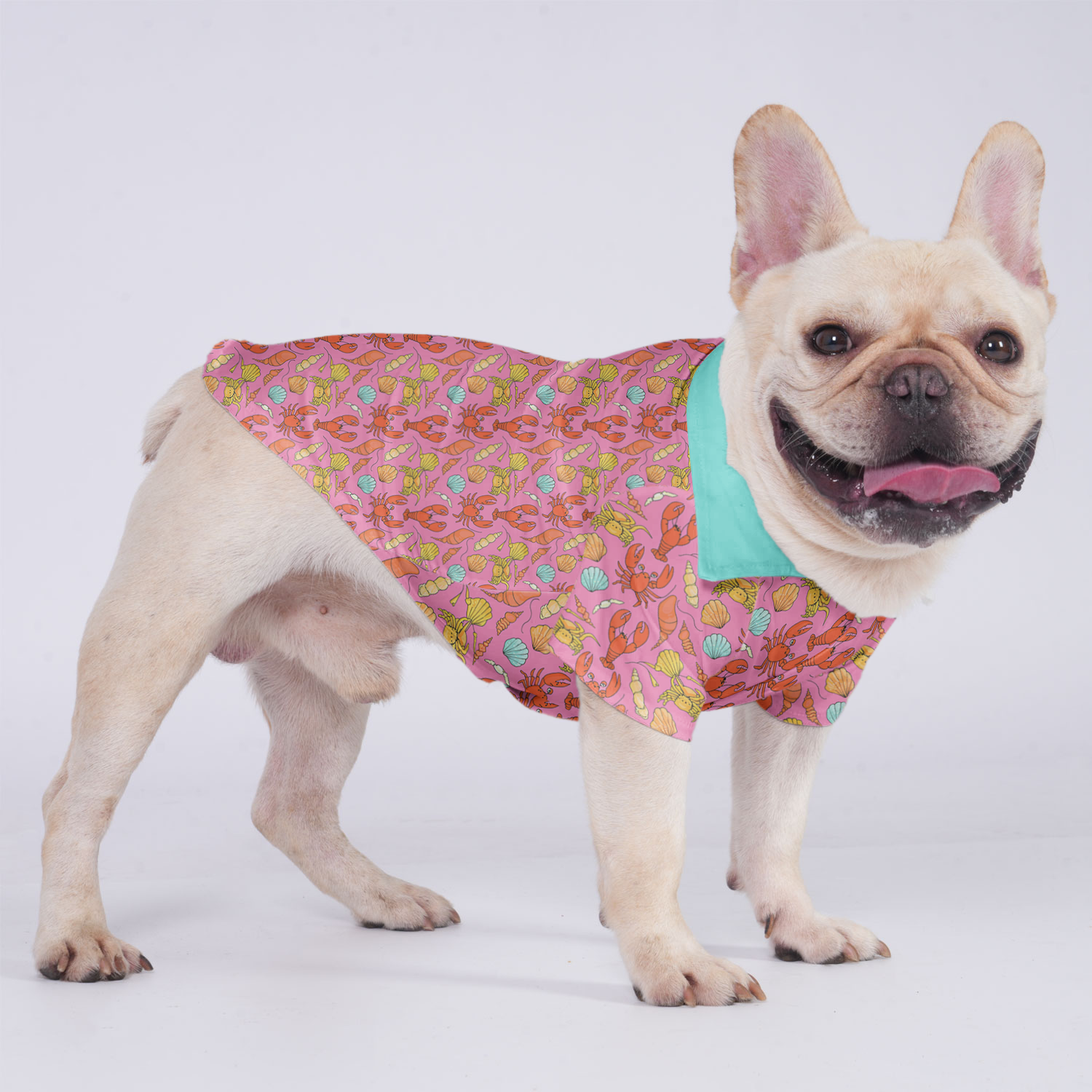 Frankie French Bulldog Dog Shirt for Brachycephalic Dogs-fadou