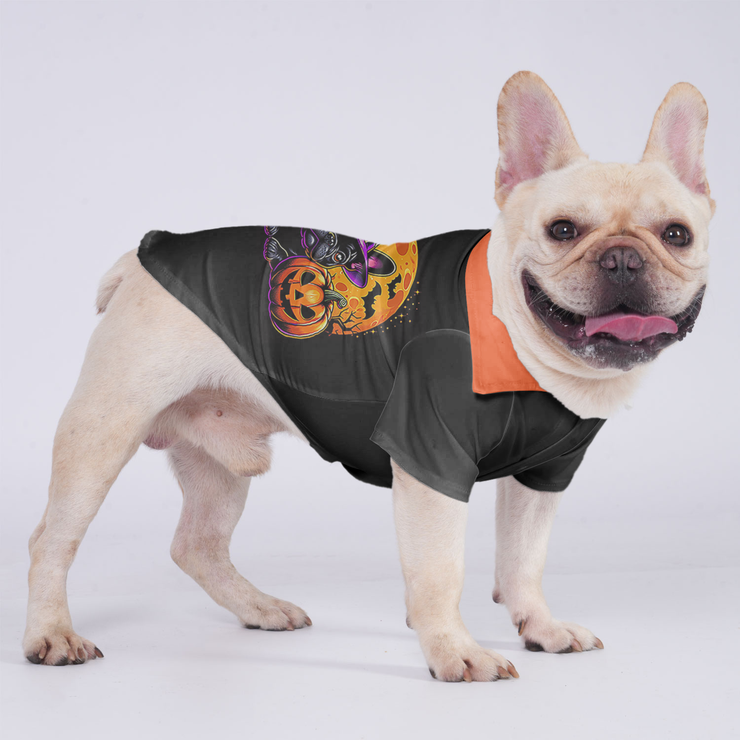 Charlie French Bulldog Dog Shirt for Outdoor Adventures-fadou