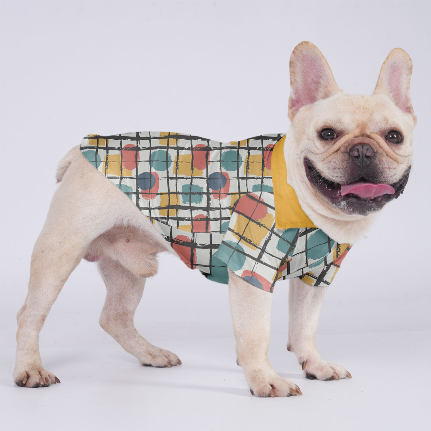 Henry French Bulldog Dog Outfit for Brachycephalic Dogs-fadou