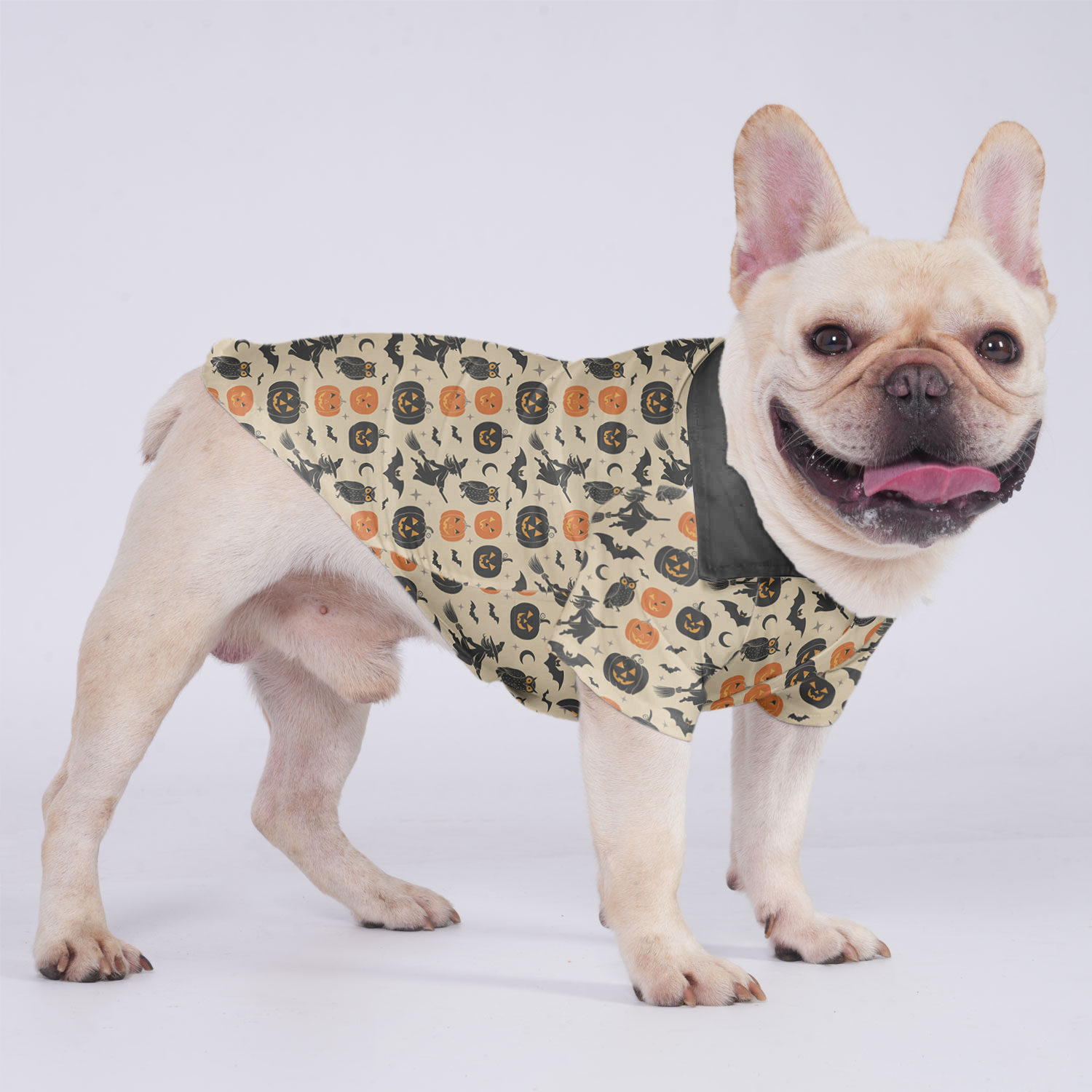 Buddy French Bulldog Dog Outfit for Brachycephalic Dogs-fadou