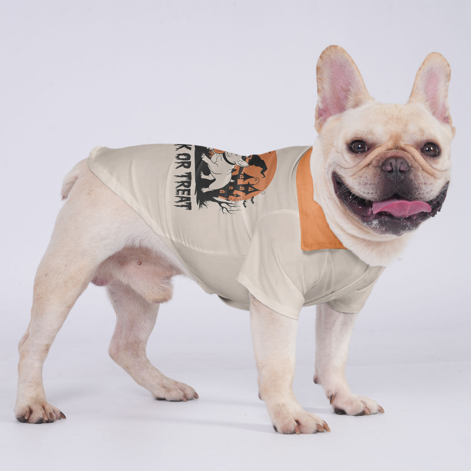 Lucy - Hawaiian Shirt for Short-Nosed Dogs for French Bulldogs-fadou