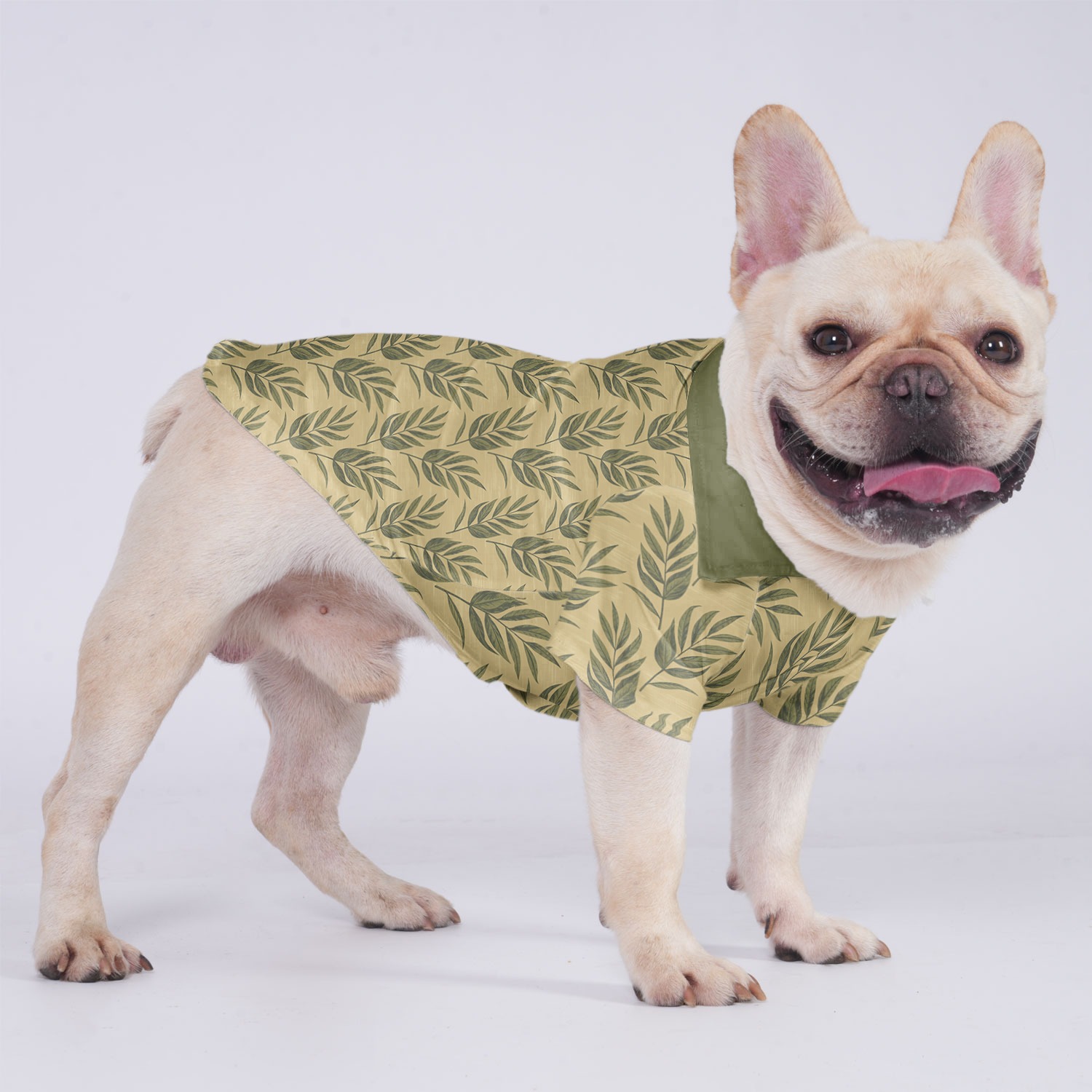 Oliver French Bulldog Cotton Tee for Brachycephalic Dogs-fadou