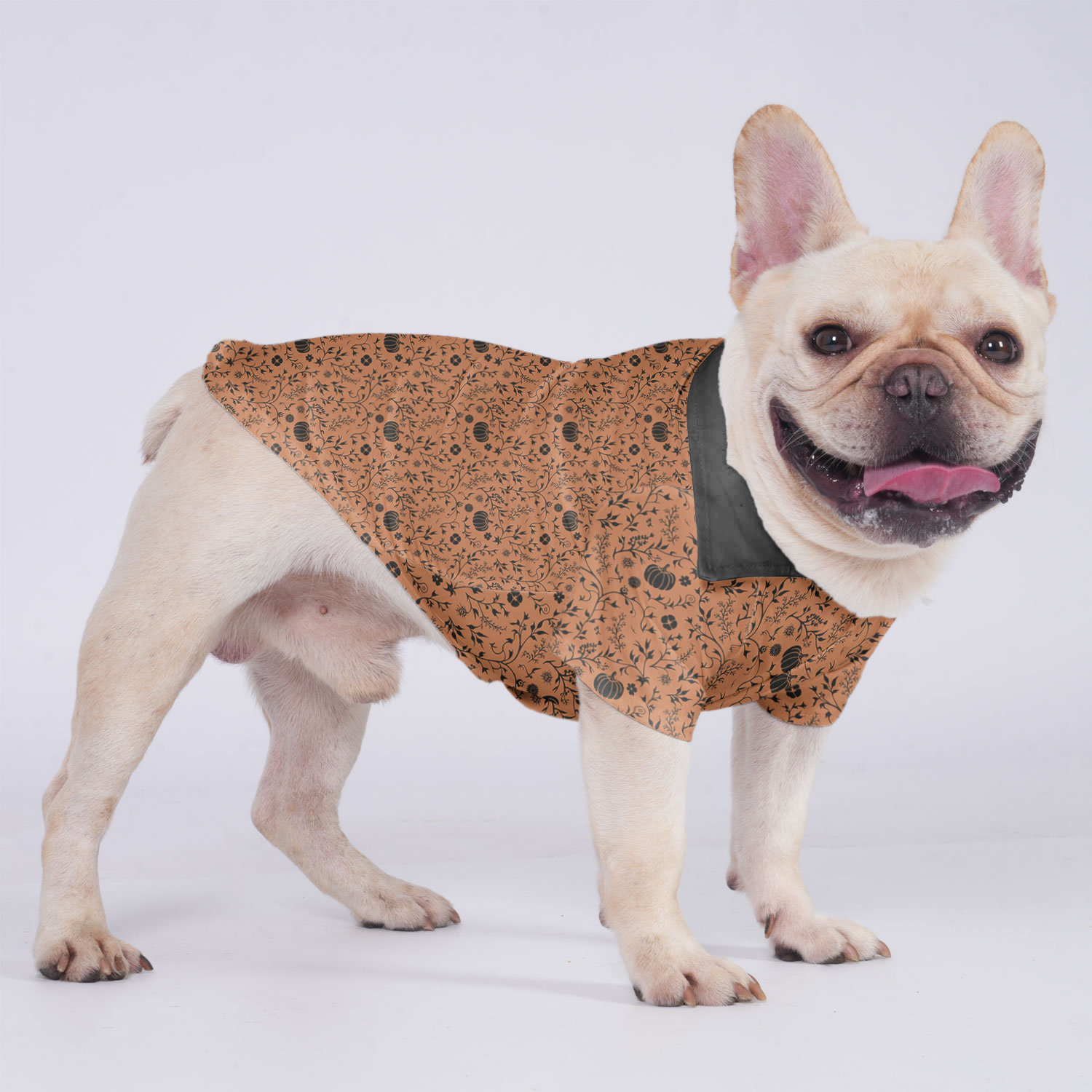 Rocky - Hawaiian Shirt for Training Sessions for French Bulldogs-fadou