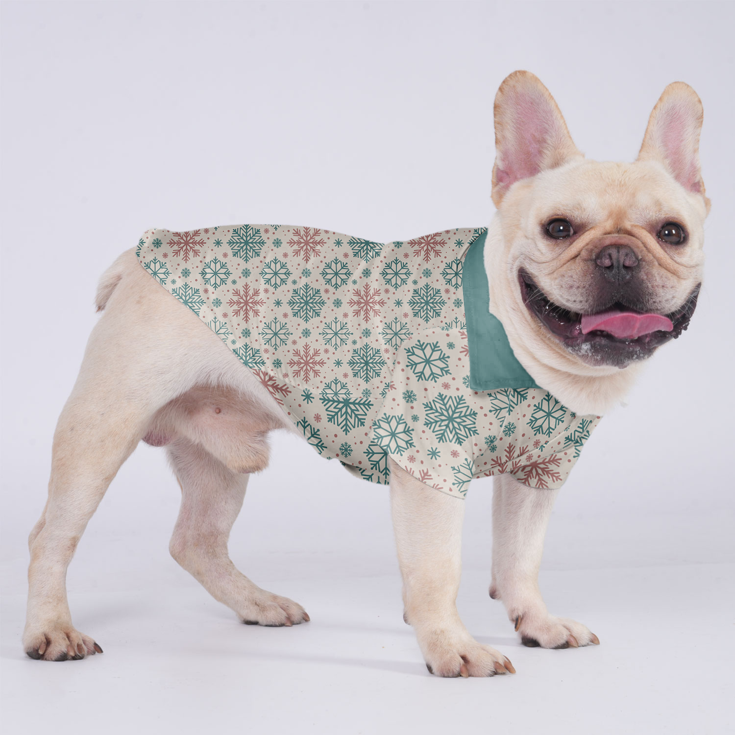 Cookie French Bulldog Cotton Tee for Outdoor Adventures-fadou