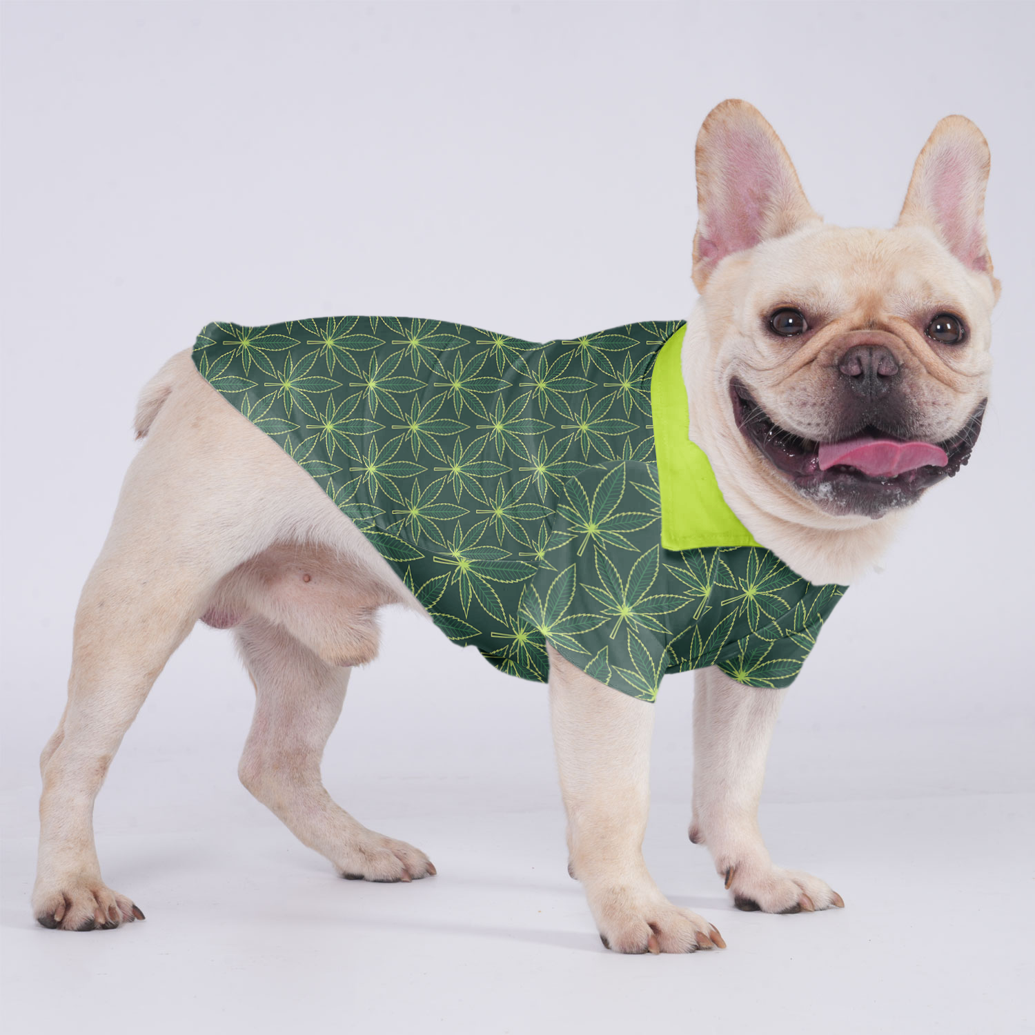 Willow French Bulldog Cotton Tee for Outdoor Adventures-fadou