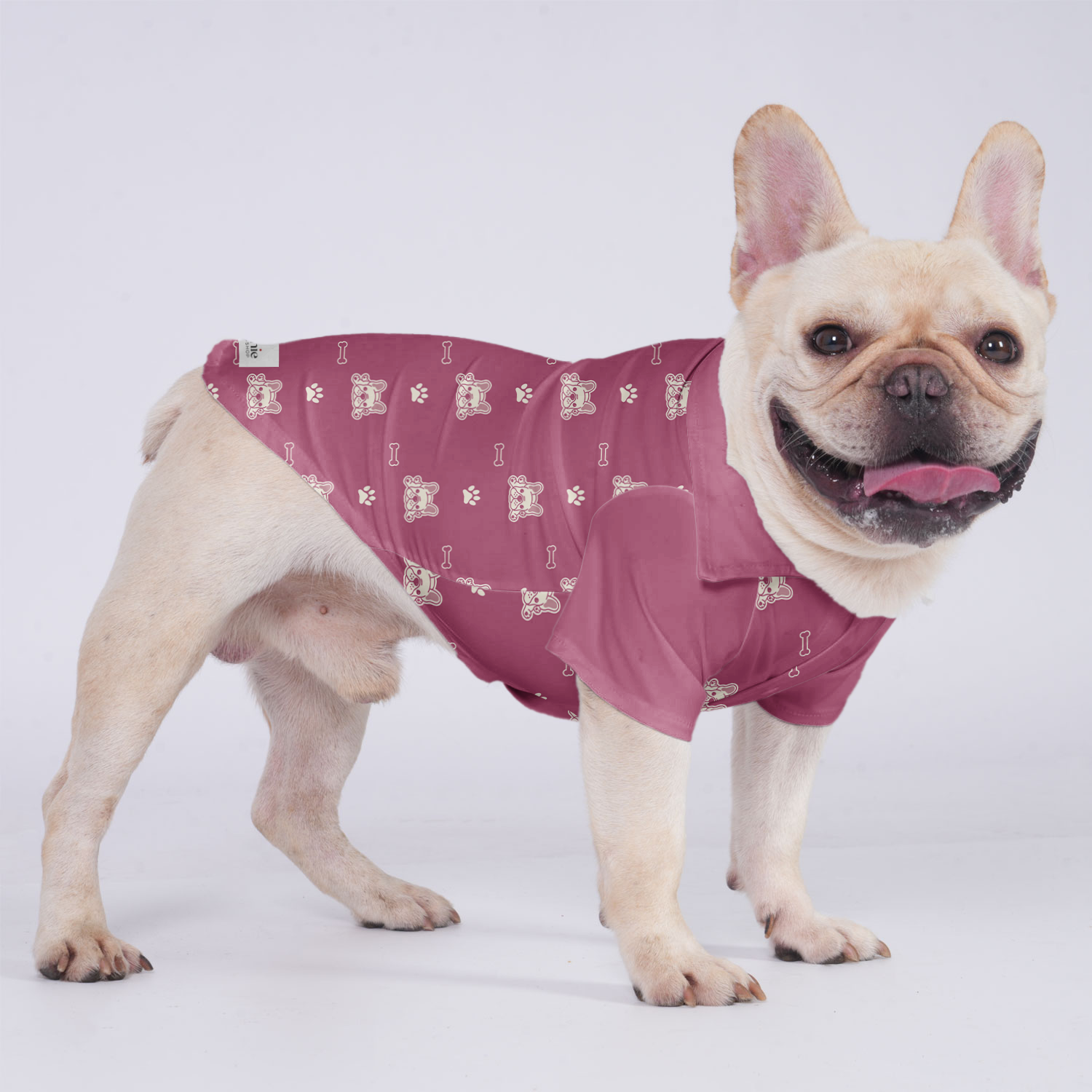Widget - Hawaiian Shirt for Travel Comfort for French Bulldogs-fadou