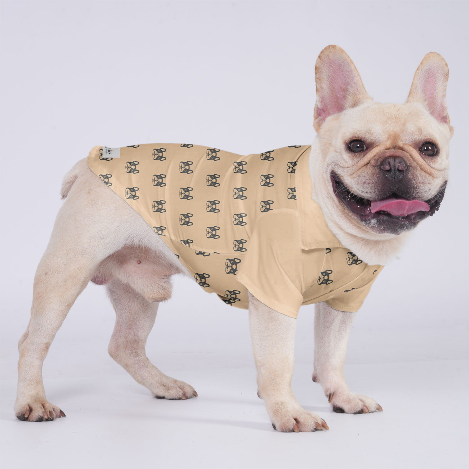 Schweppes French Bulldog Dog Shirt for Brachycephalic Dogs-fadou