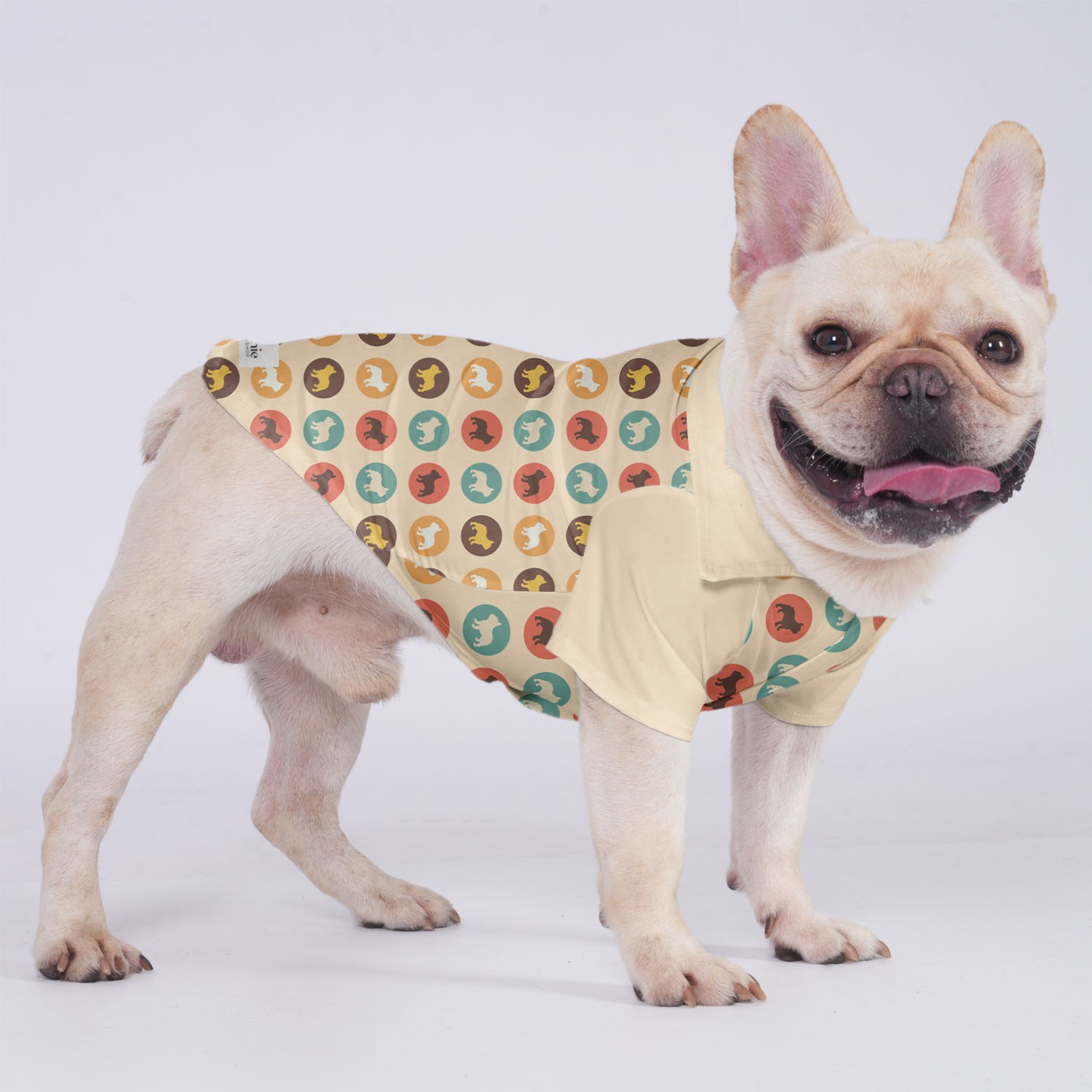 Milo - Hawaiian Shirt for Training Sessions for French Bulldogs-fadou