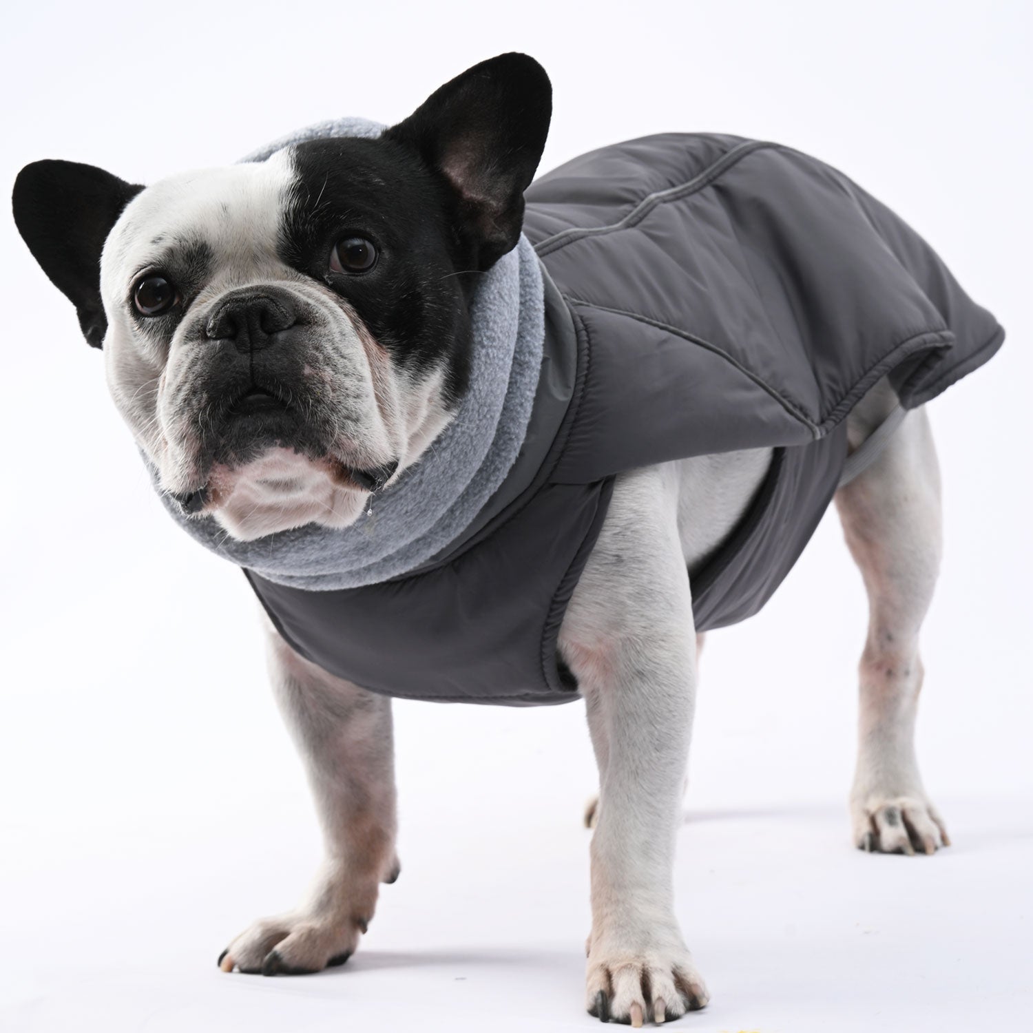 French Bulldog Winter Pet Jacket for Outdoor Adventures-fadou