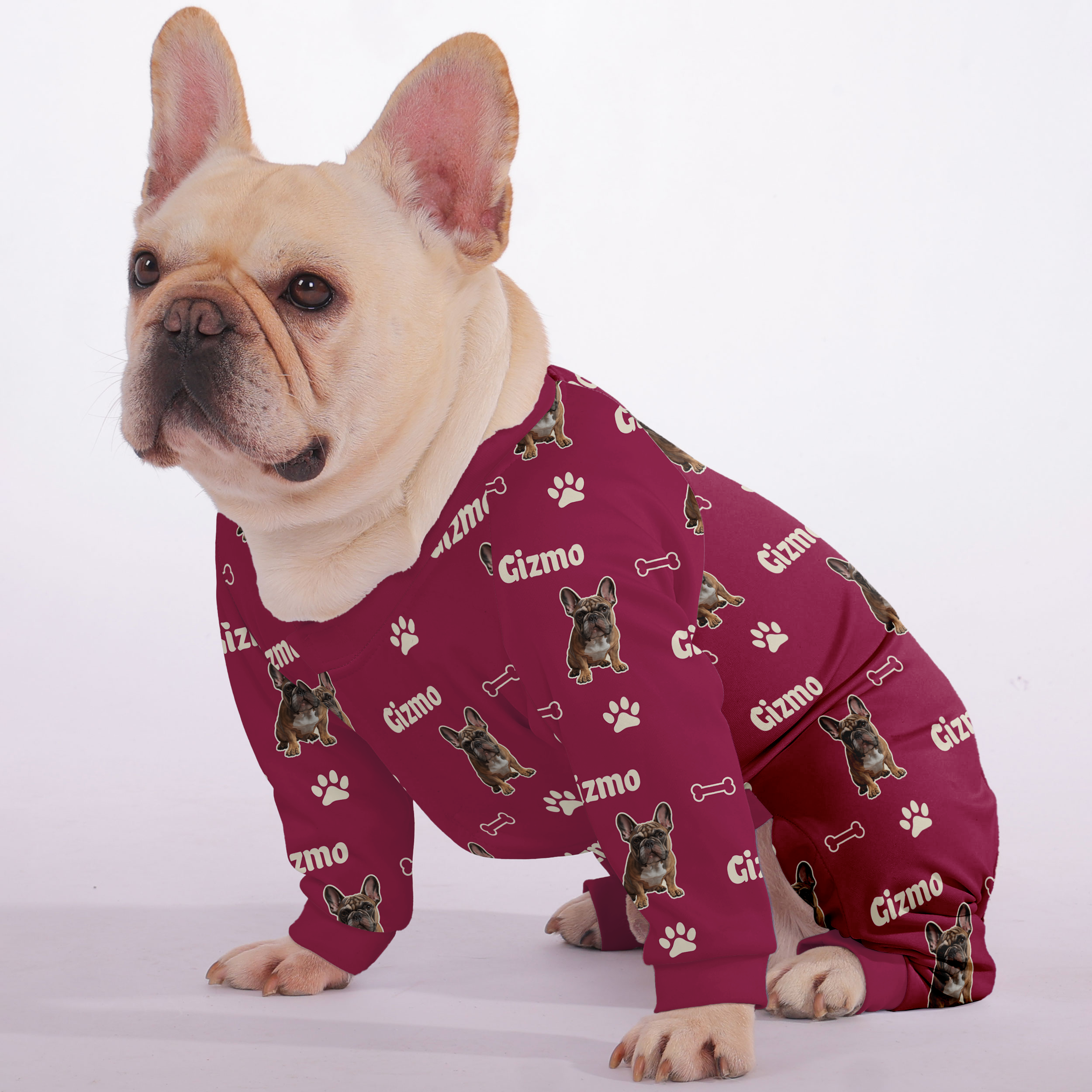 French Bulldog Personalized Night Outfit for Daily Walks-fadou