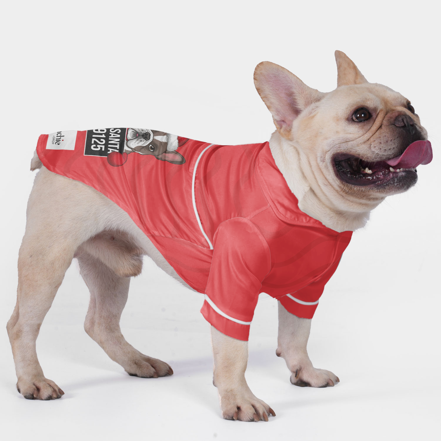 Bad French Bulldog Cozy Loungewear for Training Sessions-fadou