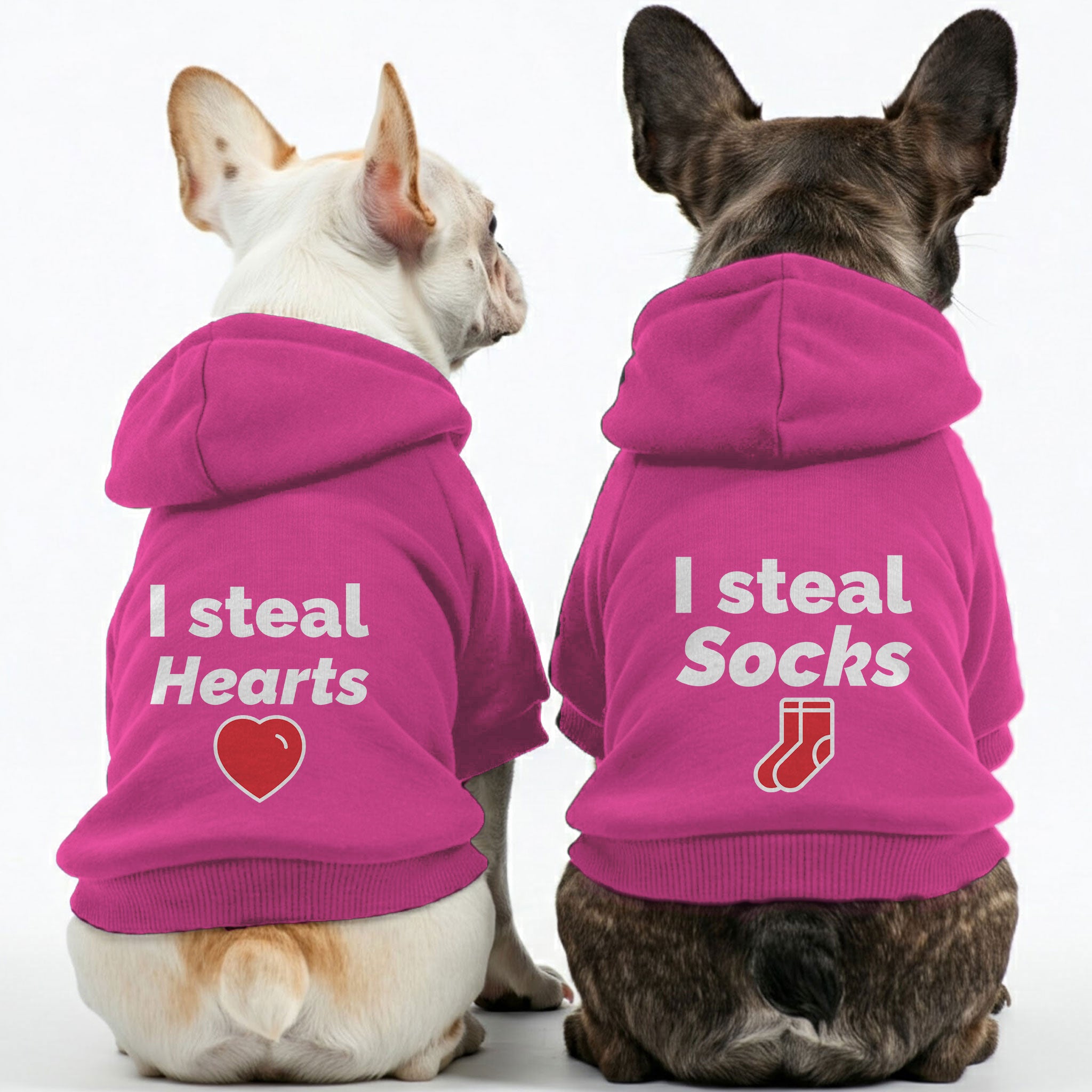 French Bulldog Stylish Pet Sweatshirt for Travel Comfort-fadou