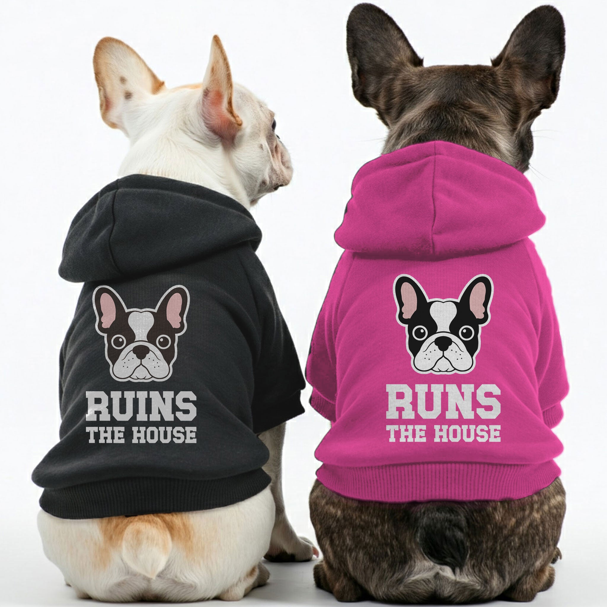 Runs French Bulldog Pet Sweatshirt for Training Sessions-fadou