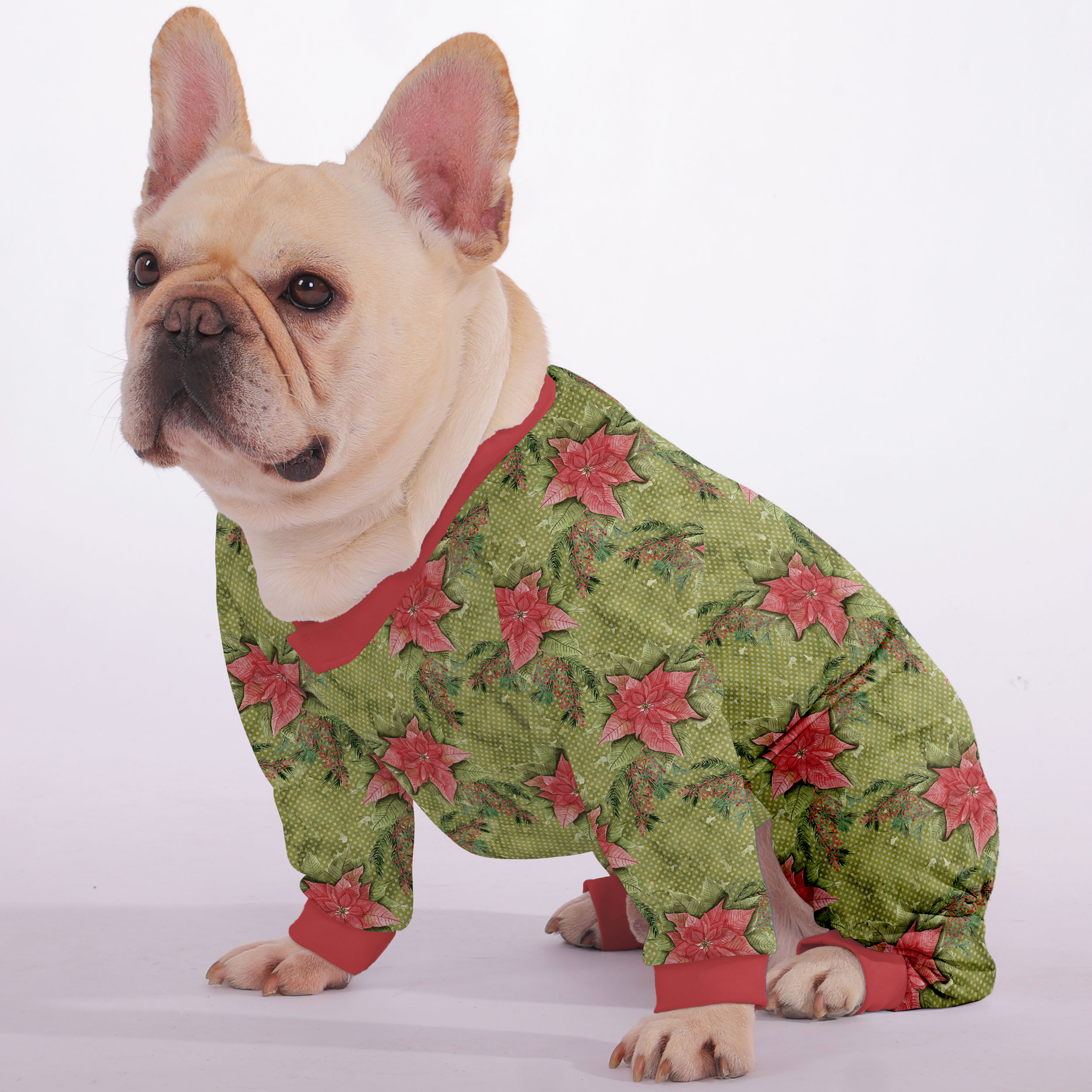 French Bulldog Soft Pet Sleepwear for Outdoor Adventures-fadou