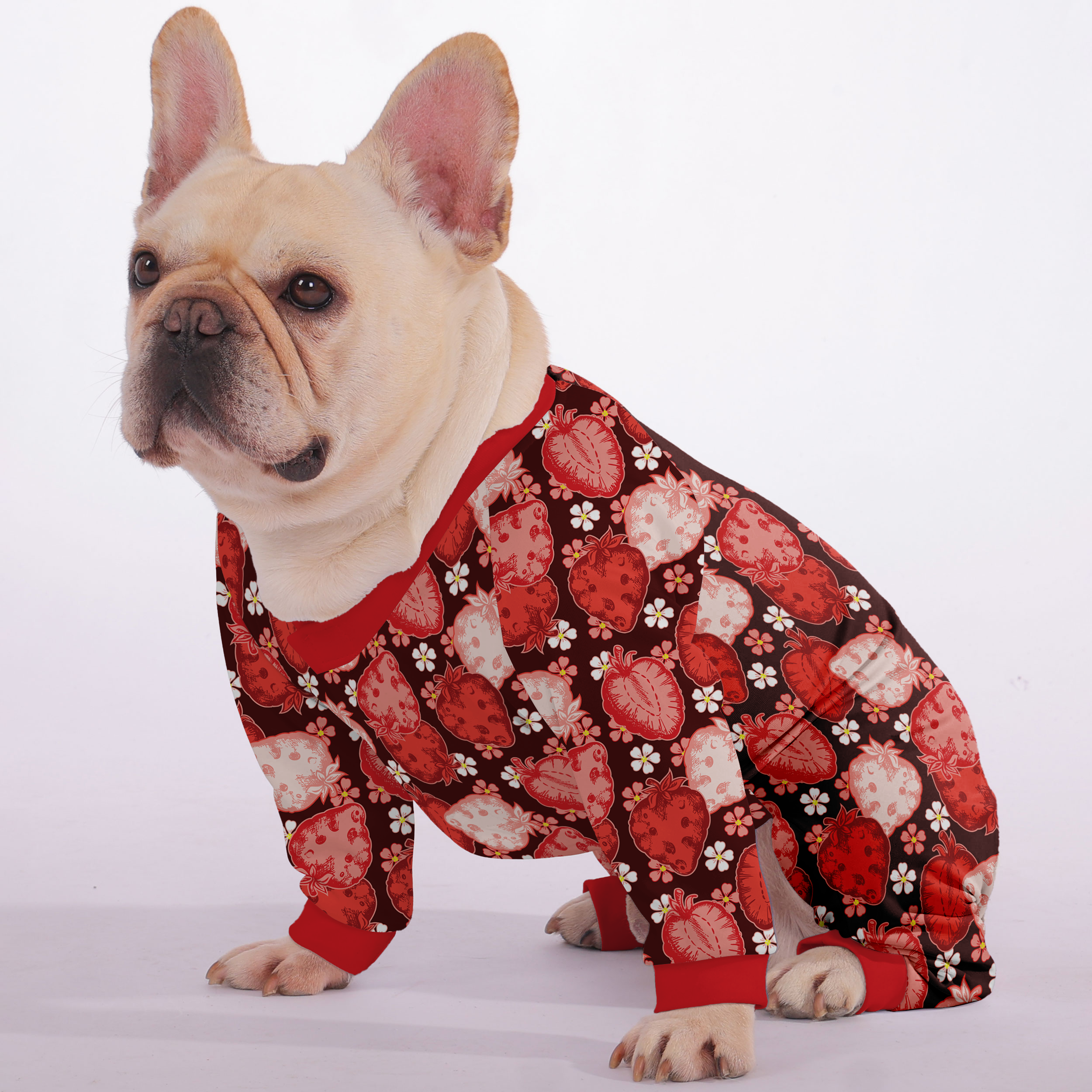 French Bulldog Soft Night Outfit for Outdoor Adventures-fadou