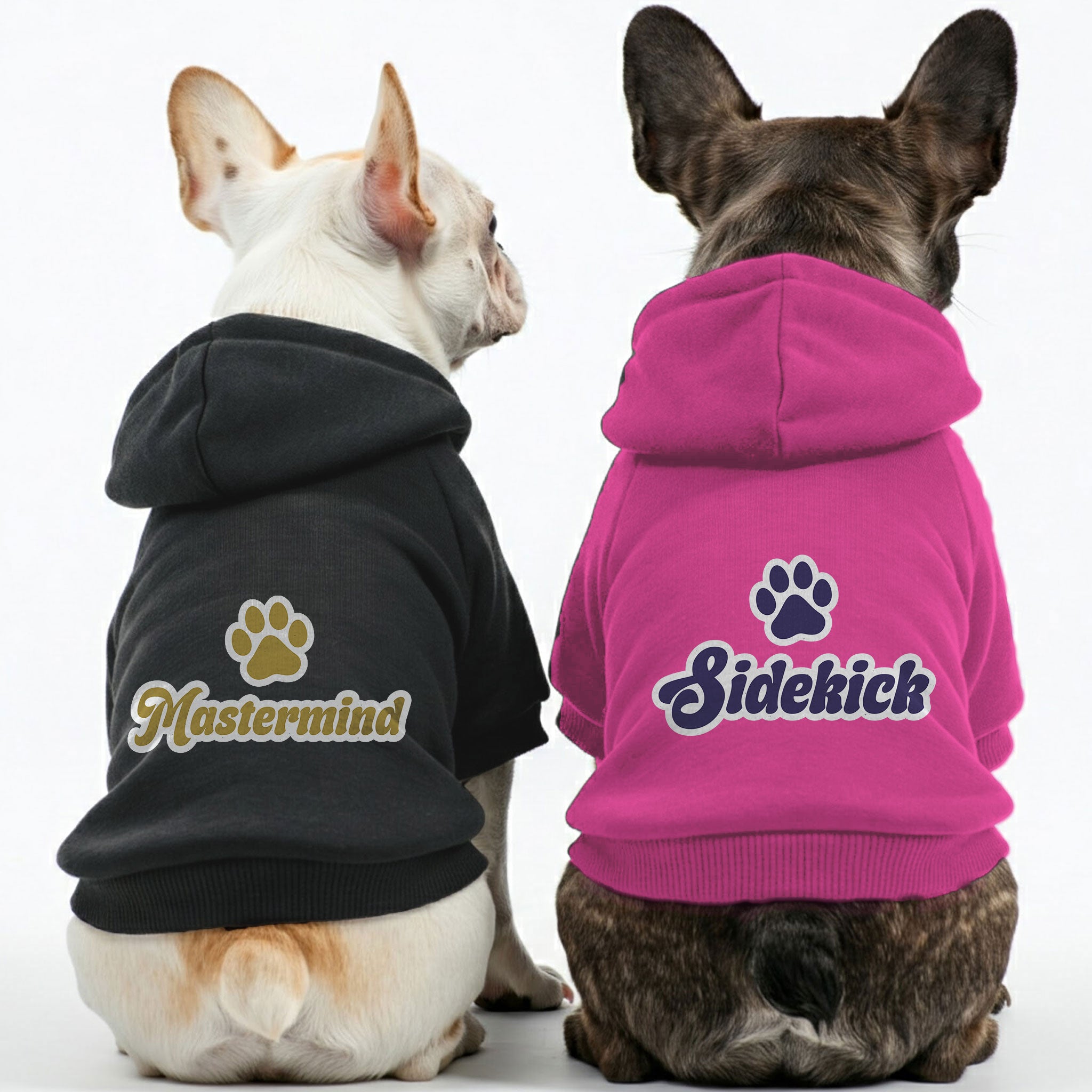 Mastermind French Bulldog Pet Sweatshirt for Small Breeds-fadou