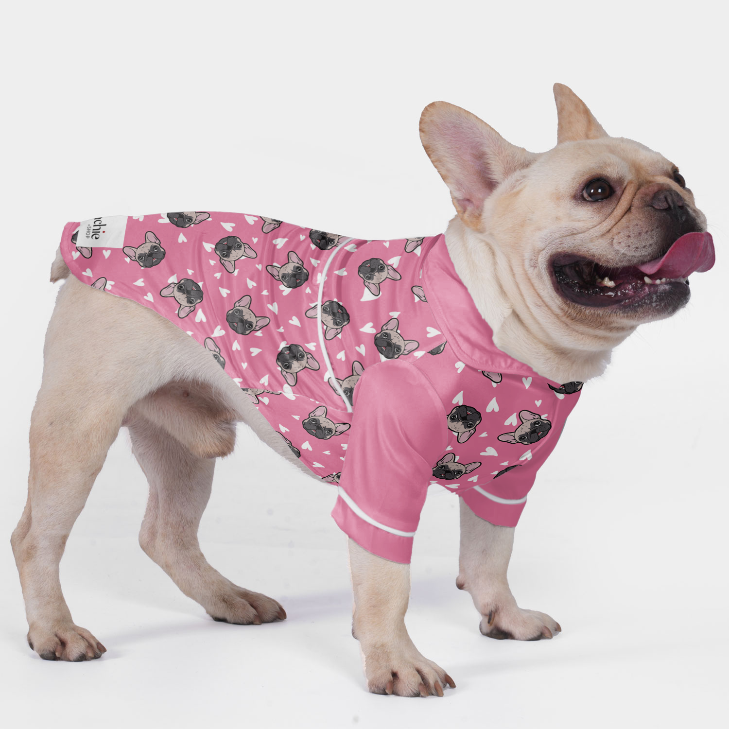 Danton French Bulldog Pet Sleepwear for Outdoor Adventures-fadou