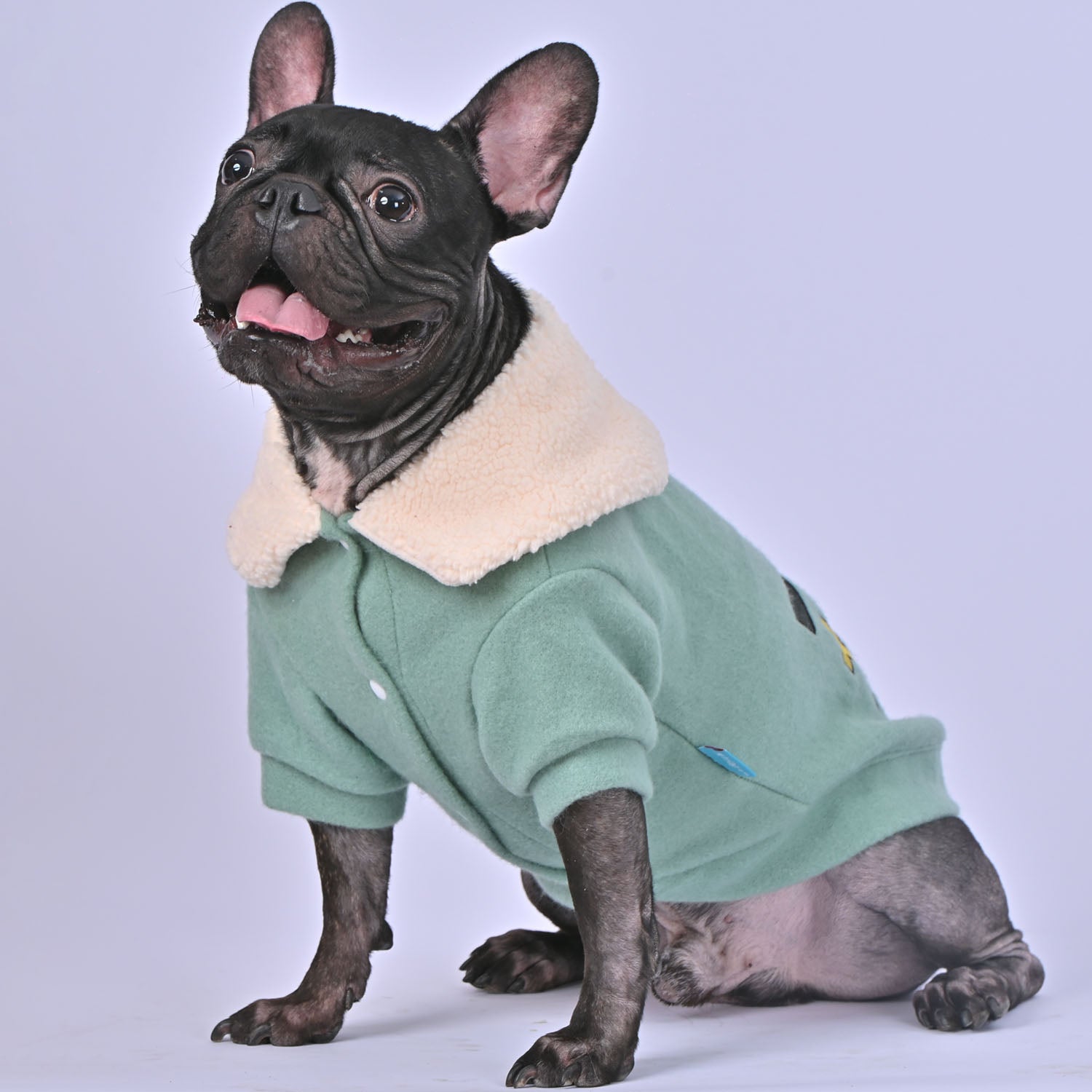 French Bulldog Warm Knitwear for Outdoor Adventures Gifts-fadou