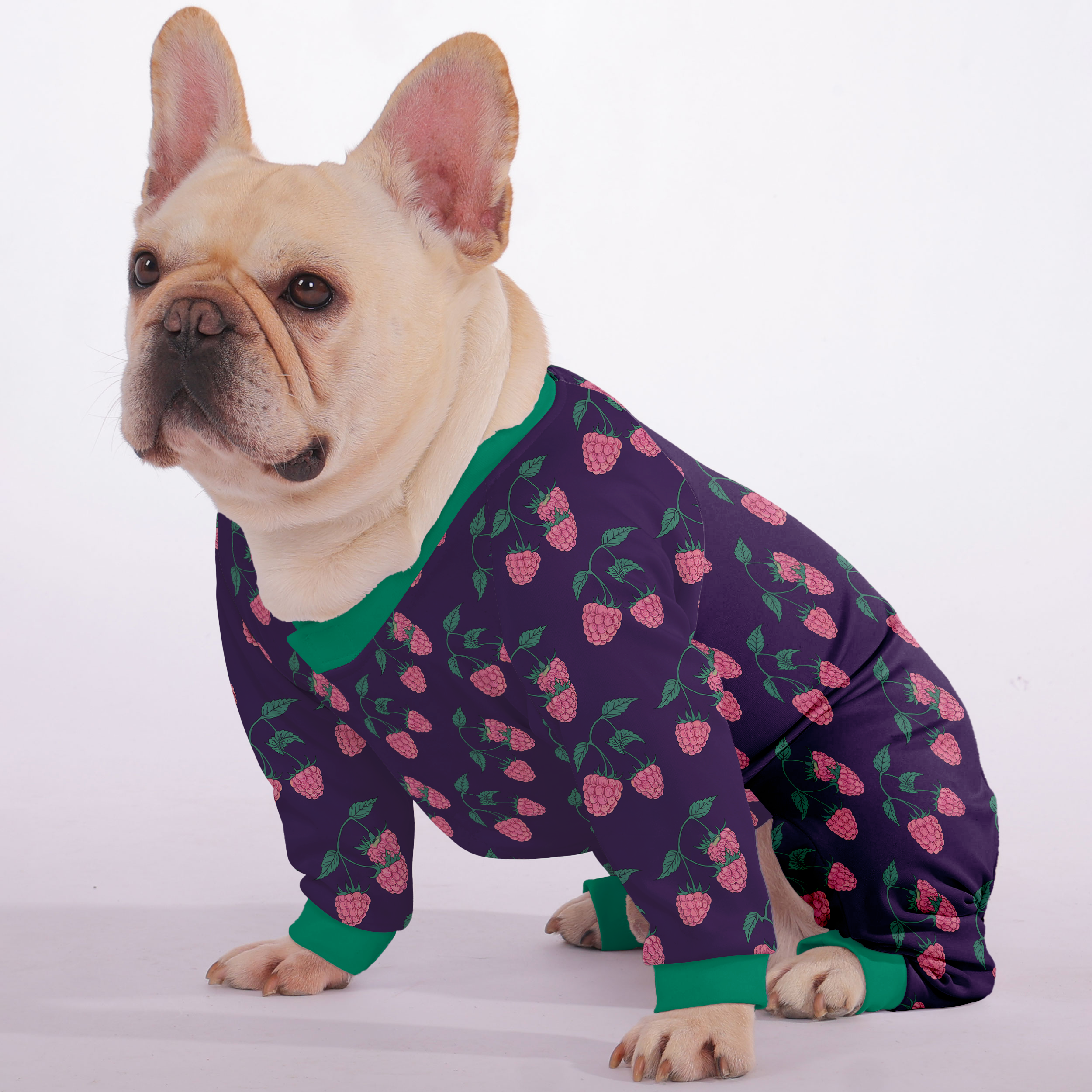 Frenchie Ultra-Soft Pet Sleepwear for Outdoor Adventures-fadou
