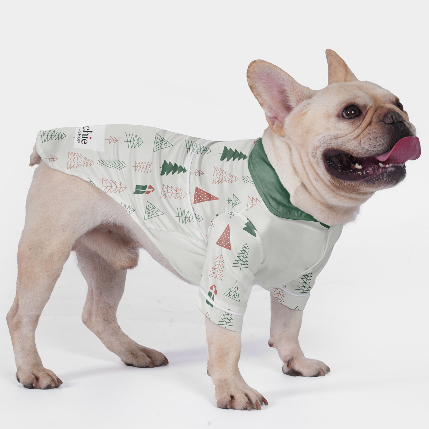 Nala French Bulldog Cozy Loungewear for Training Sessions-fadou