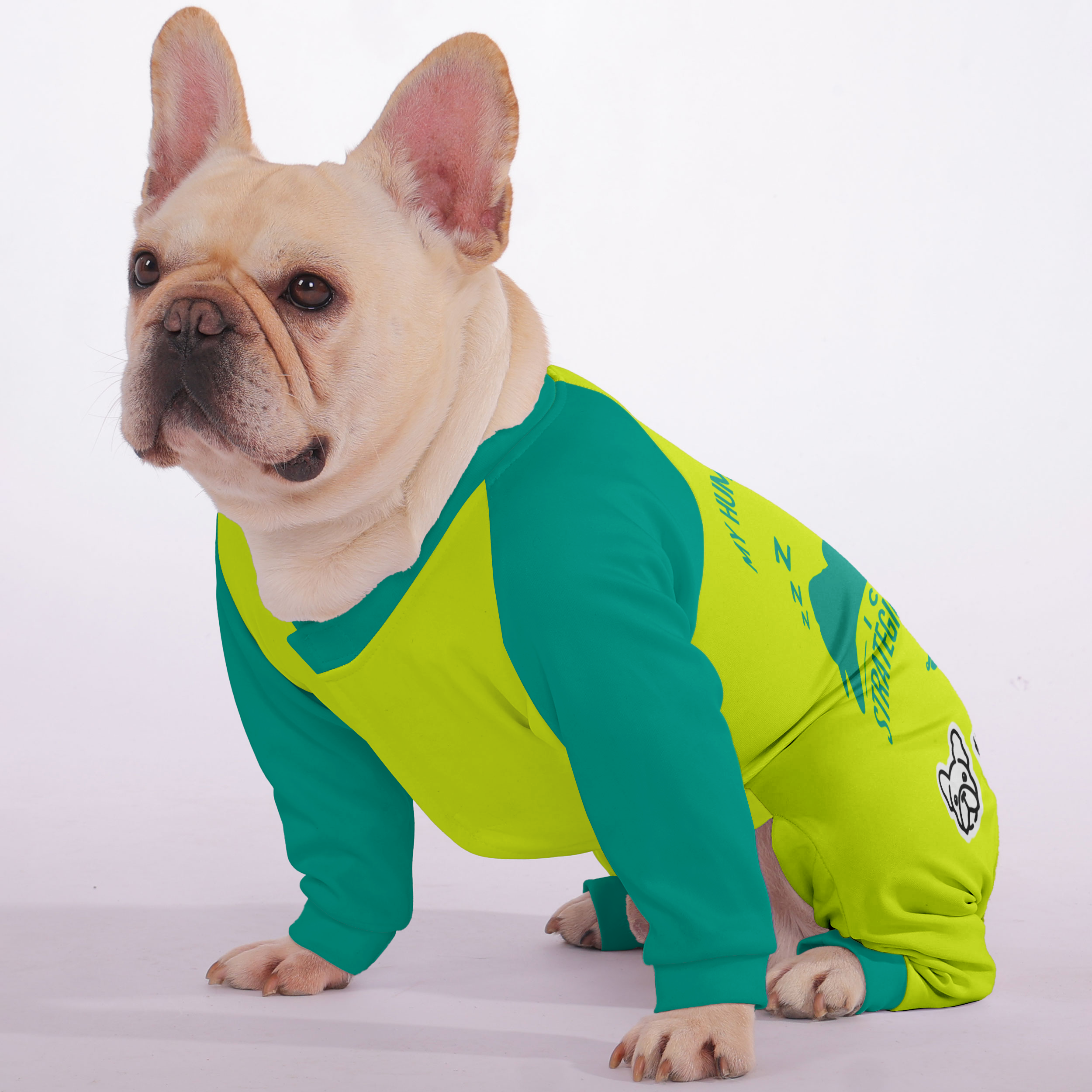French Bulldog Stylish Night Outfit for French Bulldogs-fadou