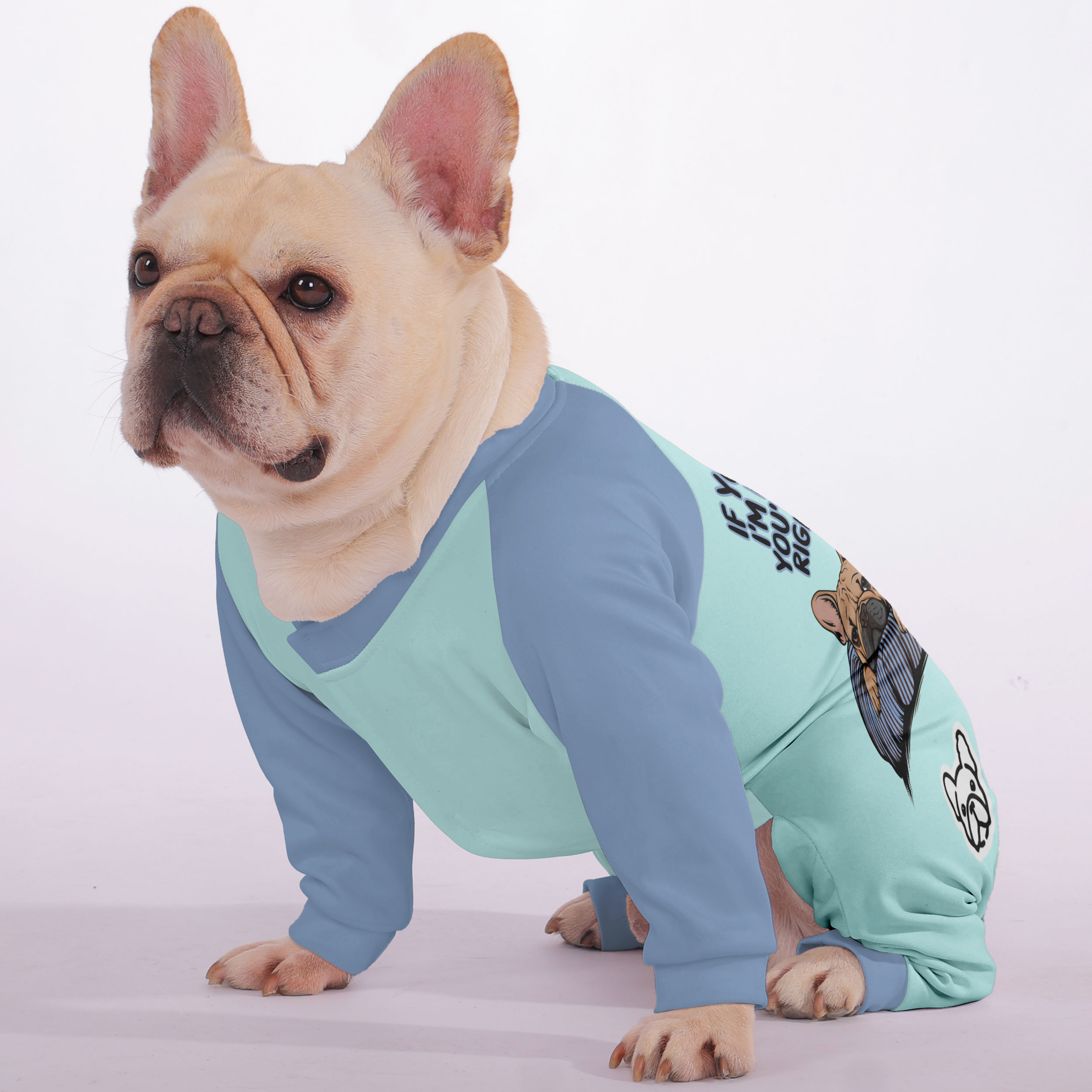 French Bulldog Ultra-Soft Cozy Loungewear for Cozy Nights-fadou