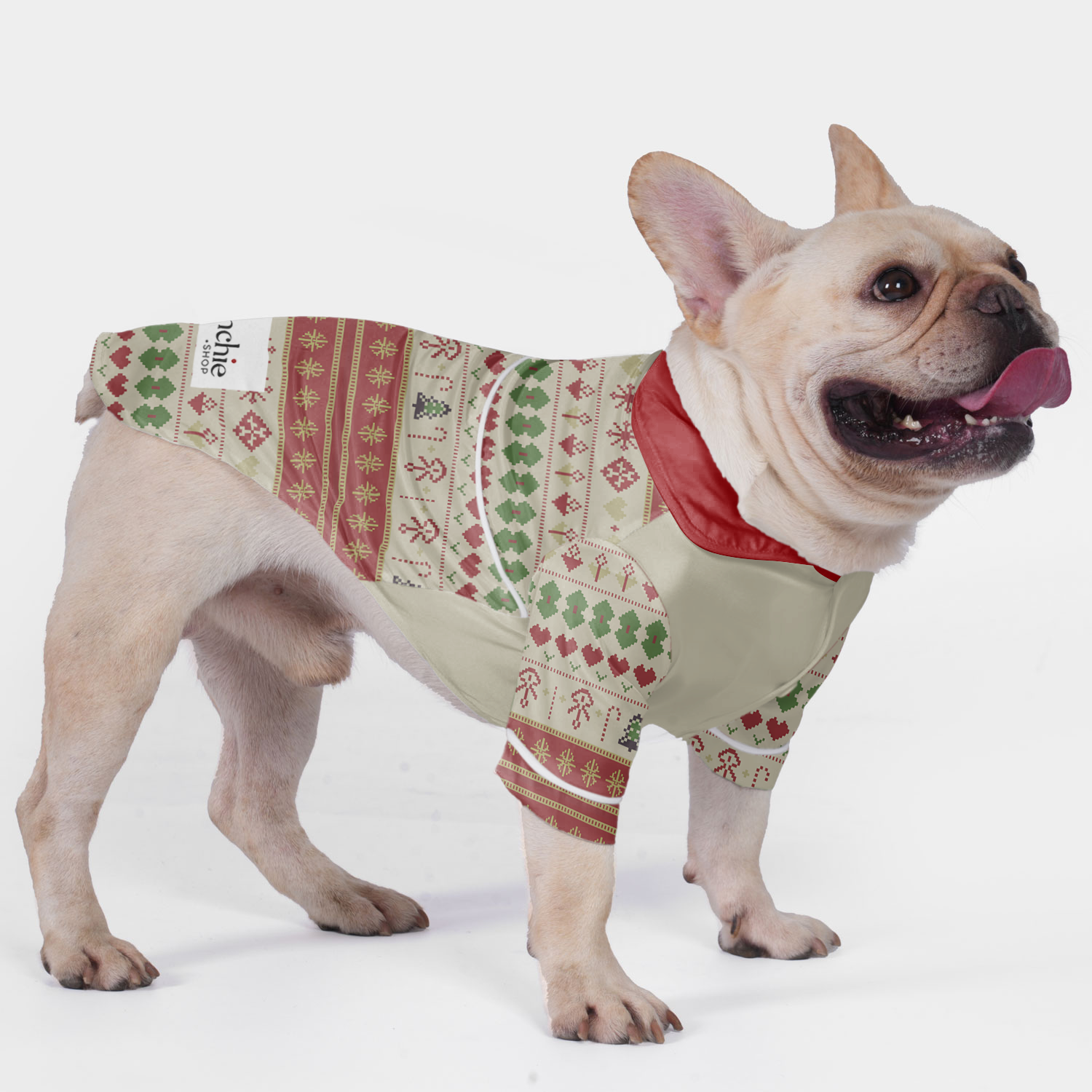 Gracie French Bulldog Night Outfit for Training Sessions-fadou