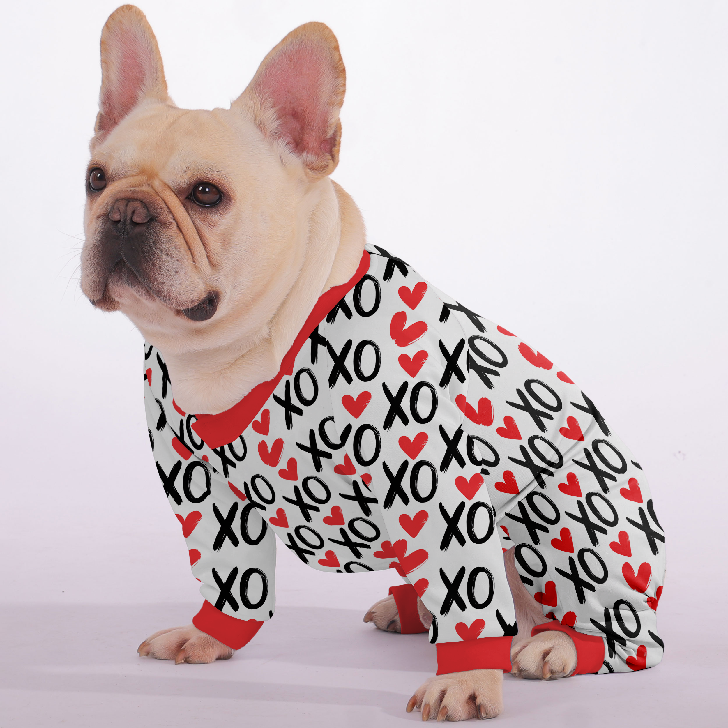 Frenchie Ultra-Soft Cozy Loungewear for Training Sessions-fadou
