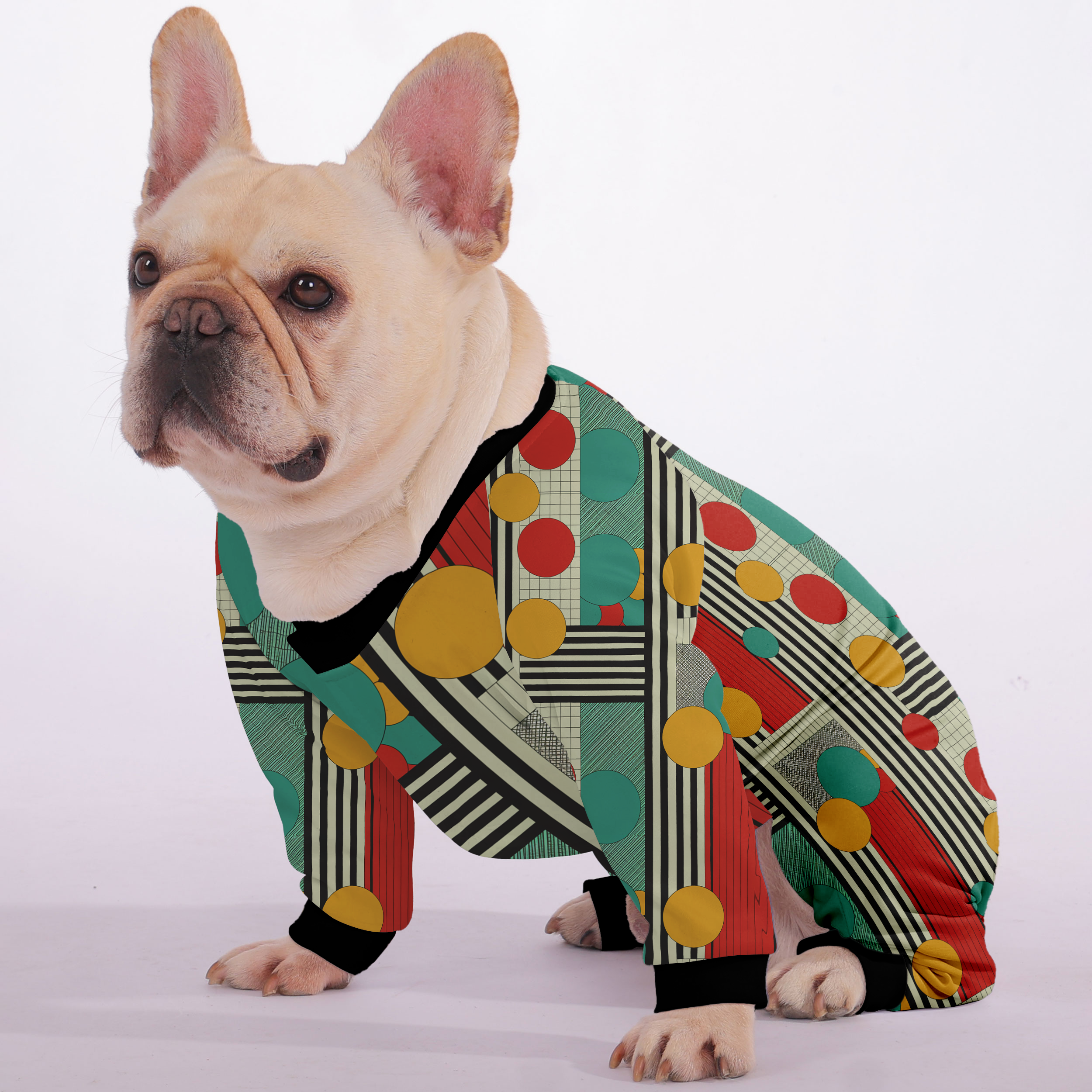 Frenchie Stylish Cozy Loungewear for Brachycephalic Dogs-fadou
