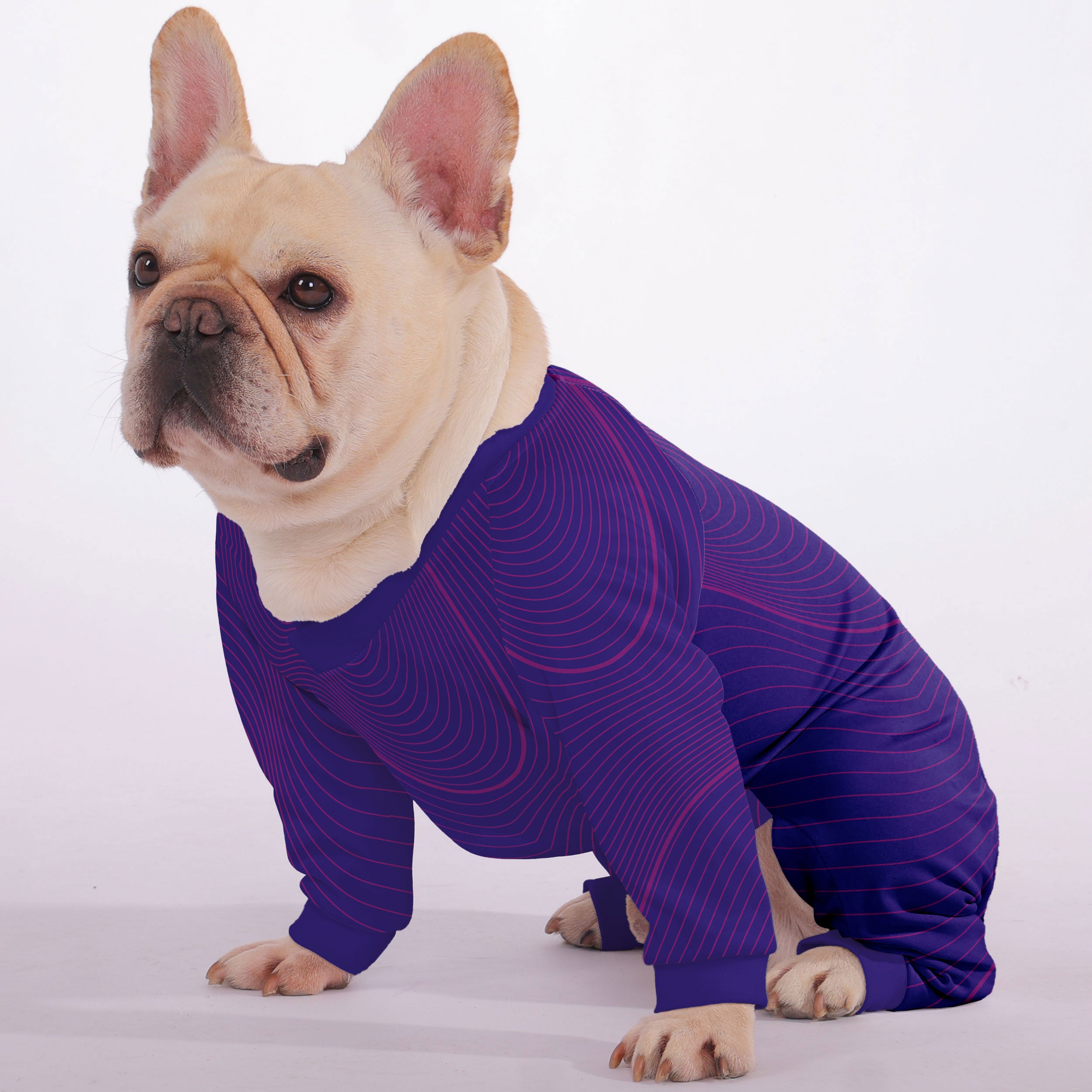 Chester French Bulldog Dog Pajamas for Brachycephalic Dogs-fadou