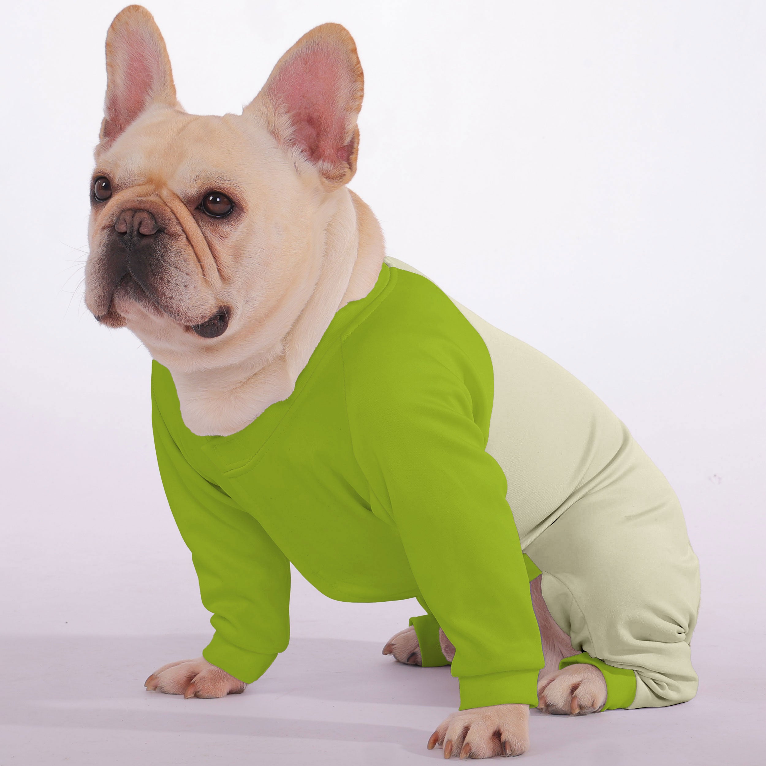 Gaston French Bulldog Dog Pajamas for Outdoor Adventures-fadou