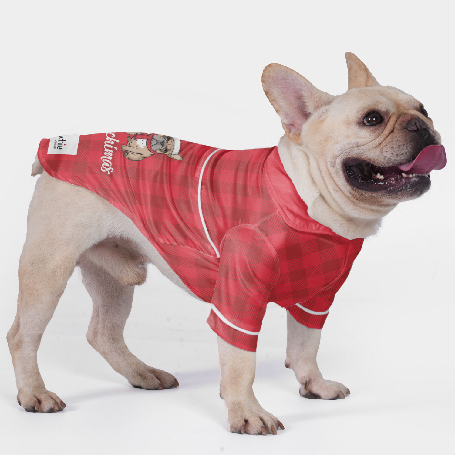 Frenchimas Frenchie Night Outfit for Outdoor Adventures-fadou