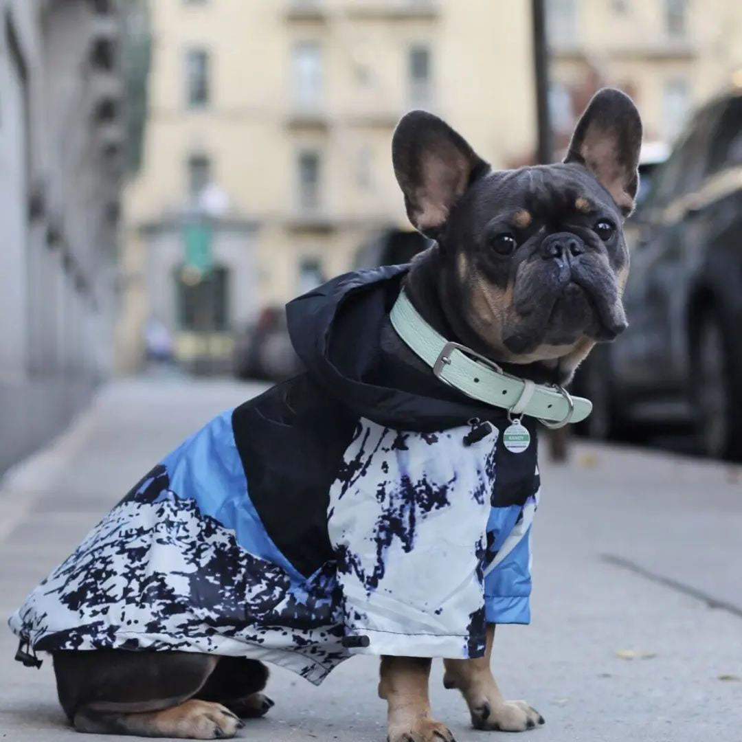 BlueHarmony French Bulldog Rain Gear for Flat-Face Breeds-fadou