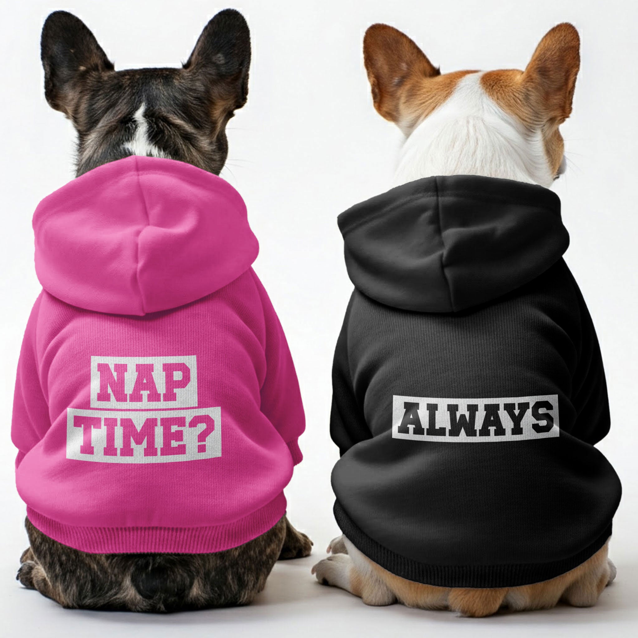 NAP French Bulldog Pet Sweatshirt for Training Sessions-fadou