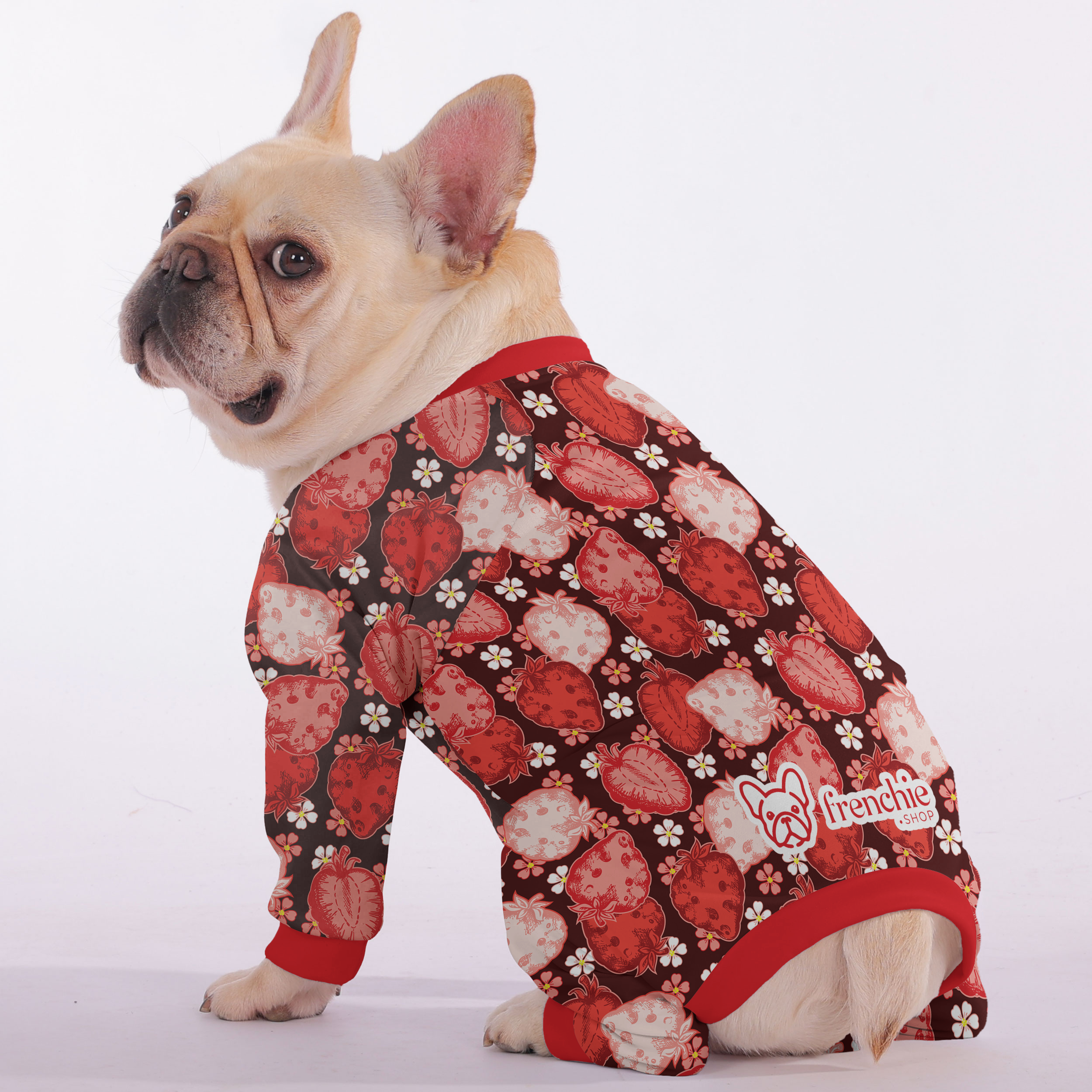 French Bulldog Soft Night Outfit for Outdoor Adventures-fadou