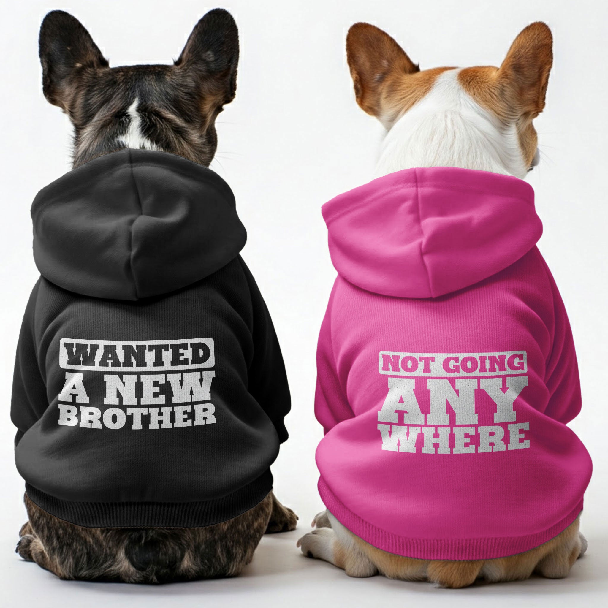 Wanted French Bulldog Dog Hoodie for Brachycephalic Dogs-fadou
