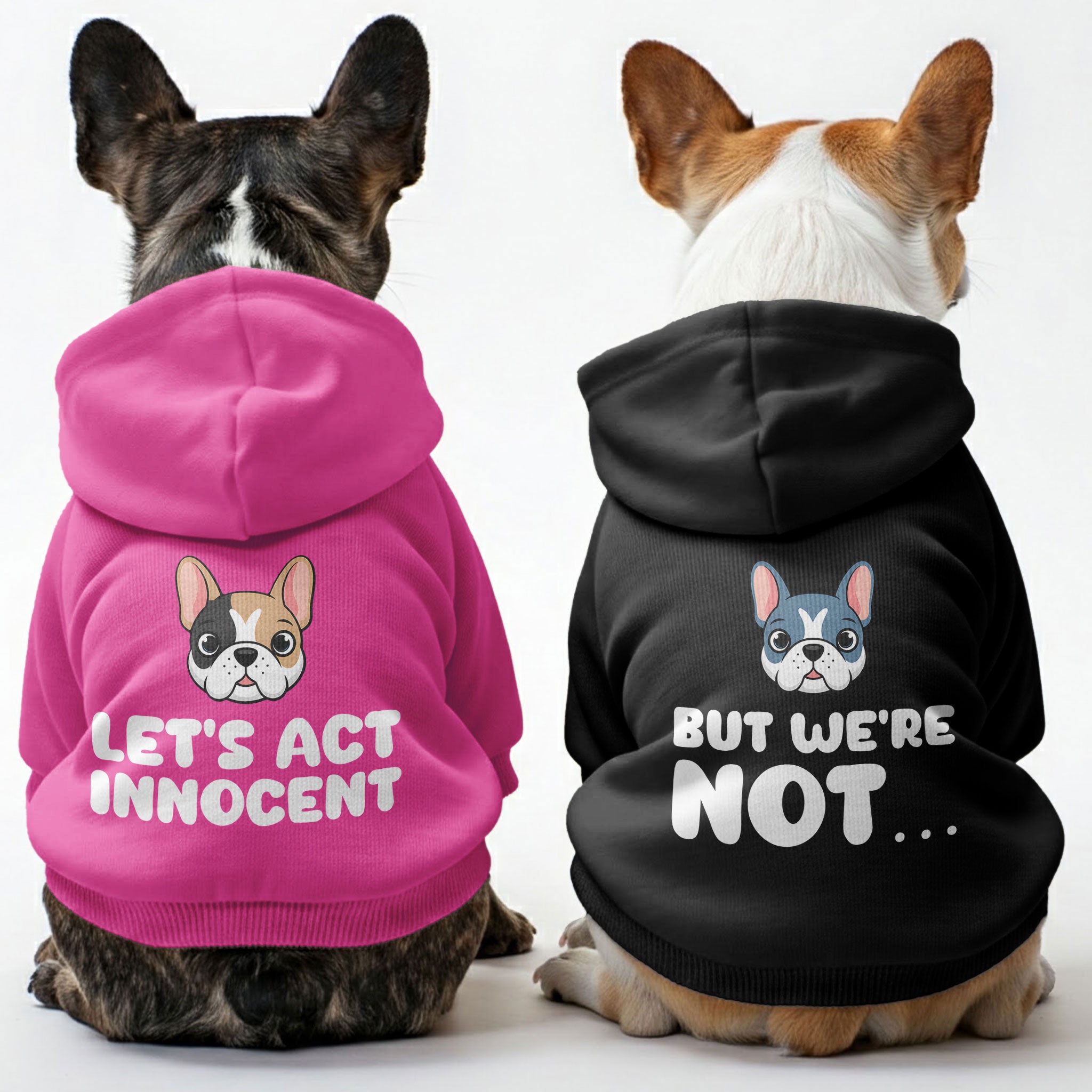 Dog Personalized Pet Sweatshirt for Brachycephalic Dogs-fadou