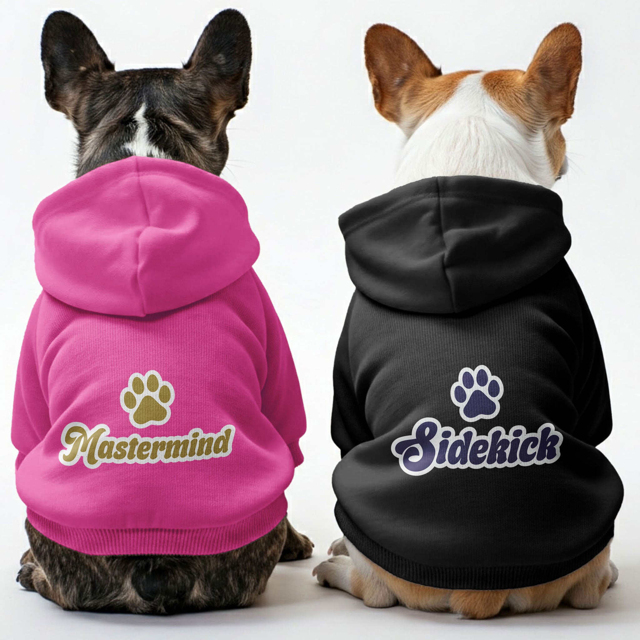 Mastermind French Bulldog Pet Sweatshirt for Small Breeds-fadou