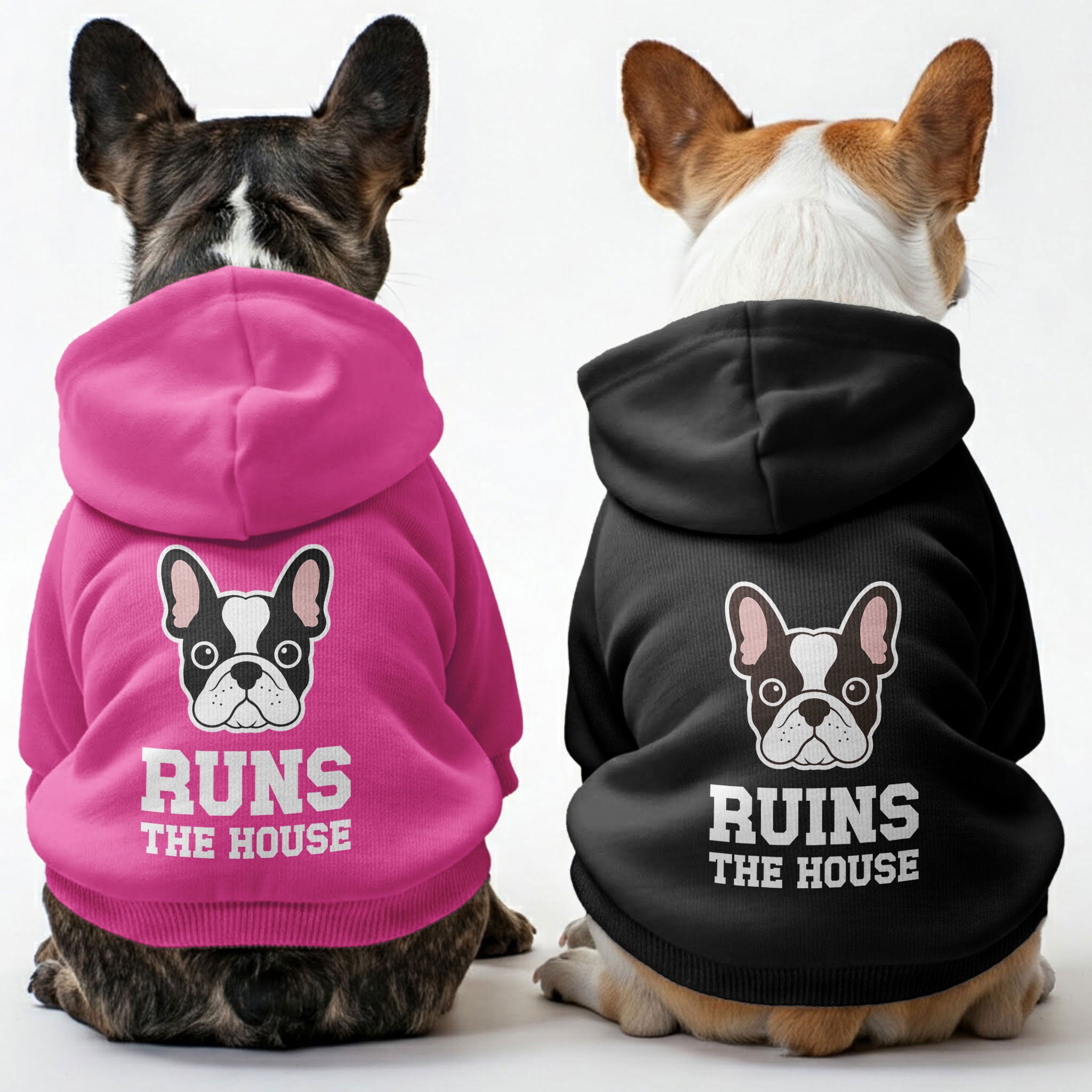 Runs French Bulldog Pet Sweatshirt for Training Sessions-fadou