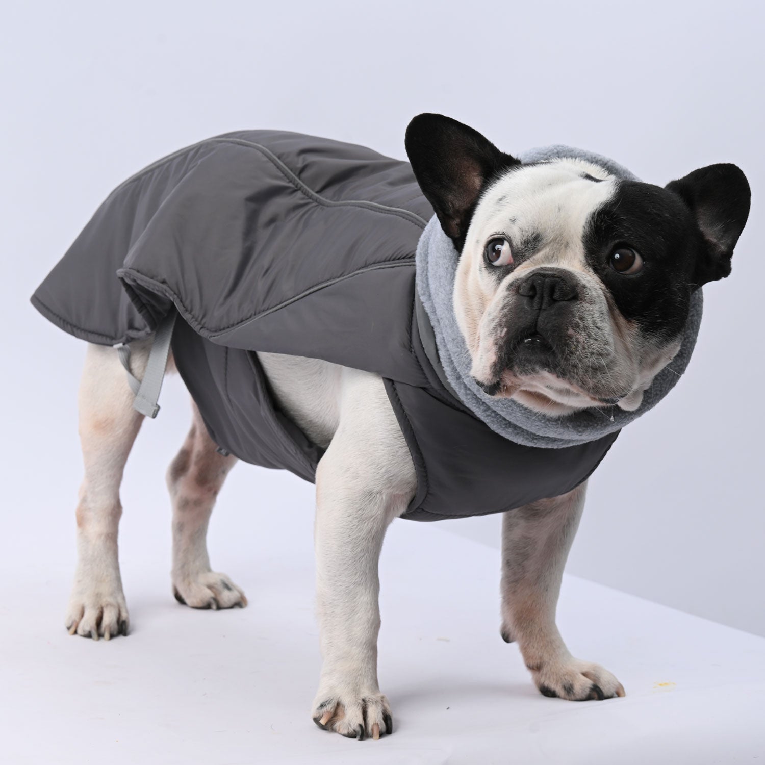 French Bulldog Winter Pet Jacket for Outdoor Adventures-fadou