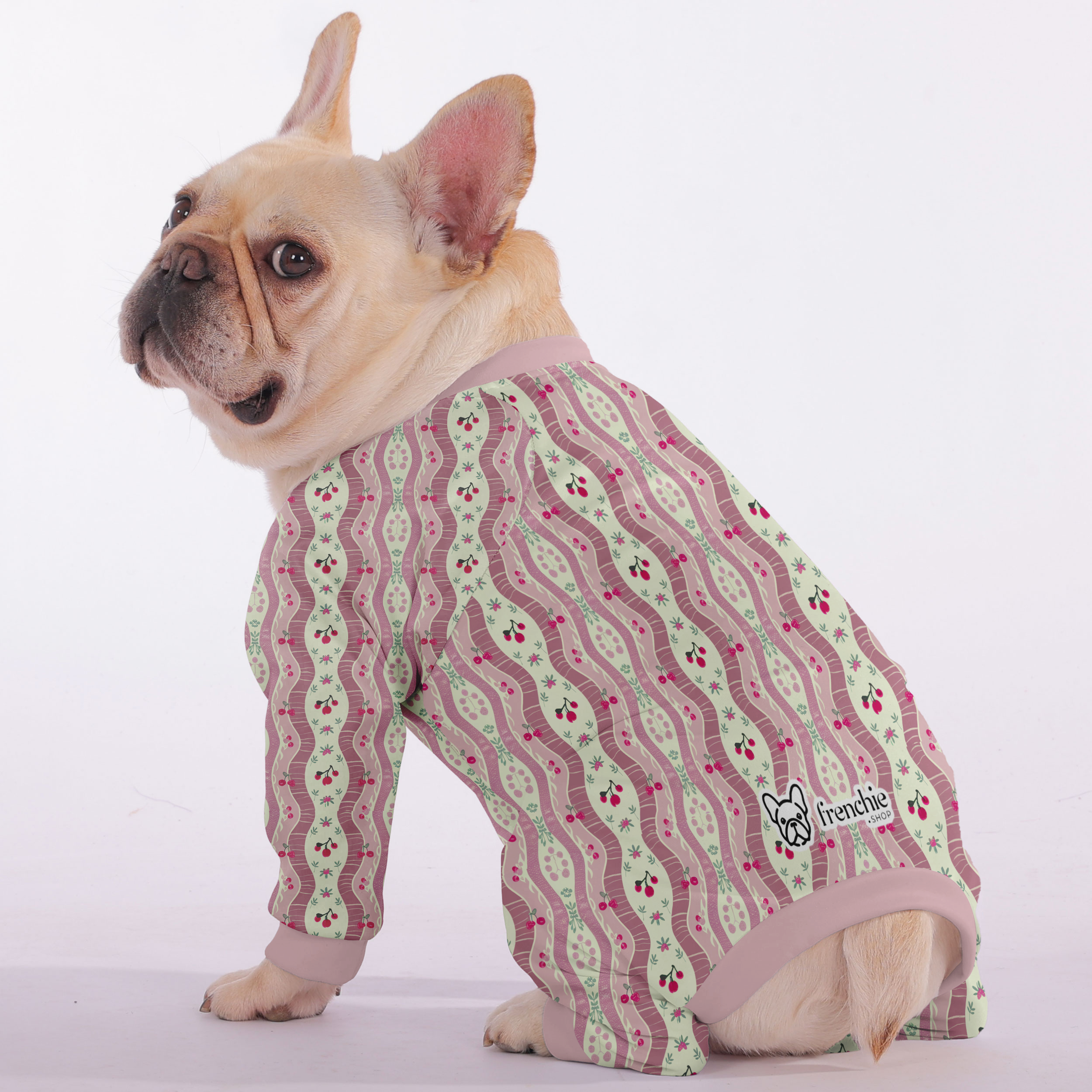 French Bulldog Ultra-Soft Pet Sleepwear for French Bulldogs-fadou